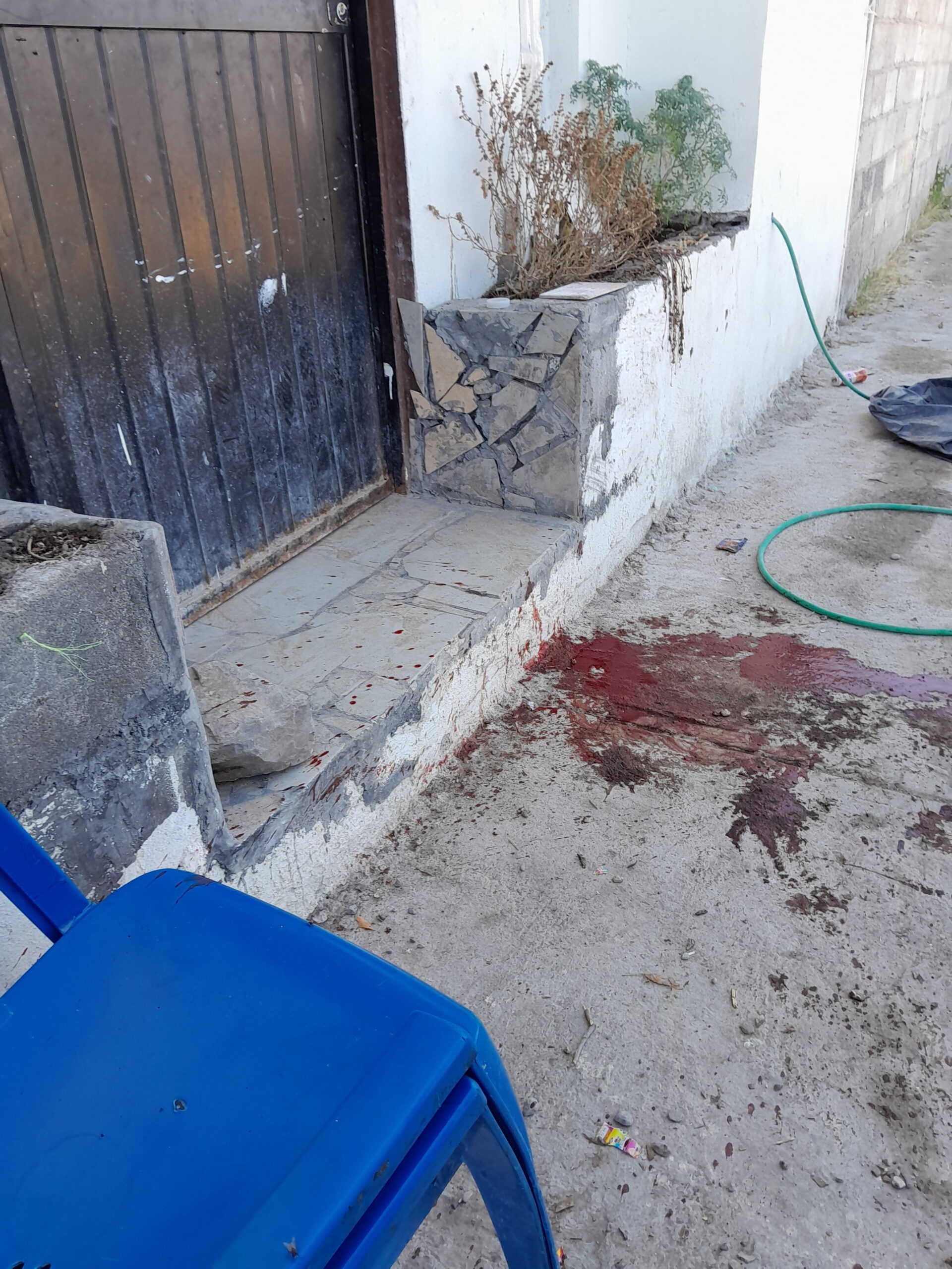 A la cárcel por matar con machete a pitbull
