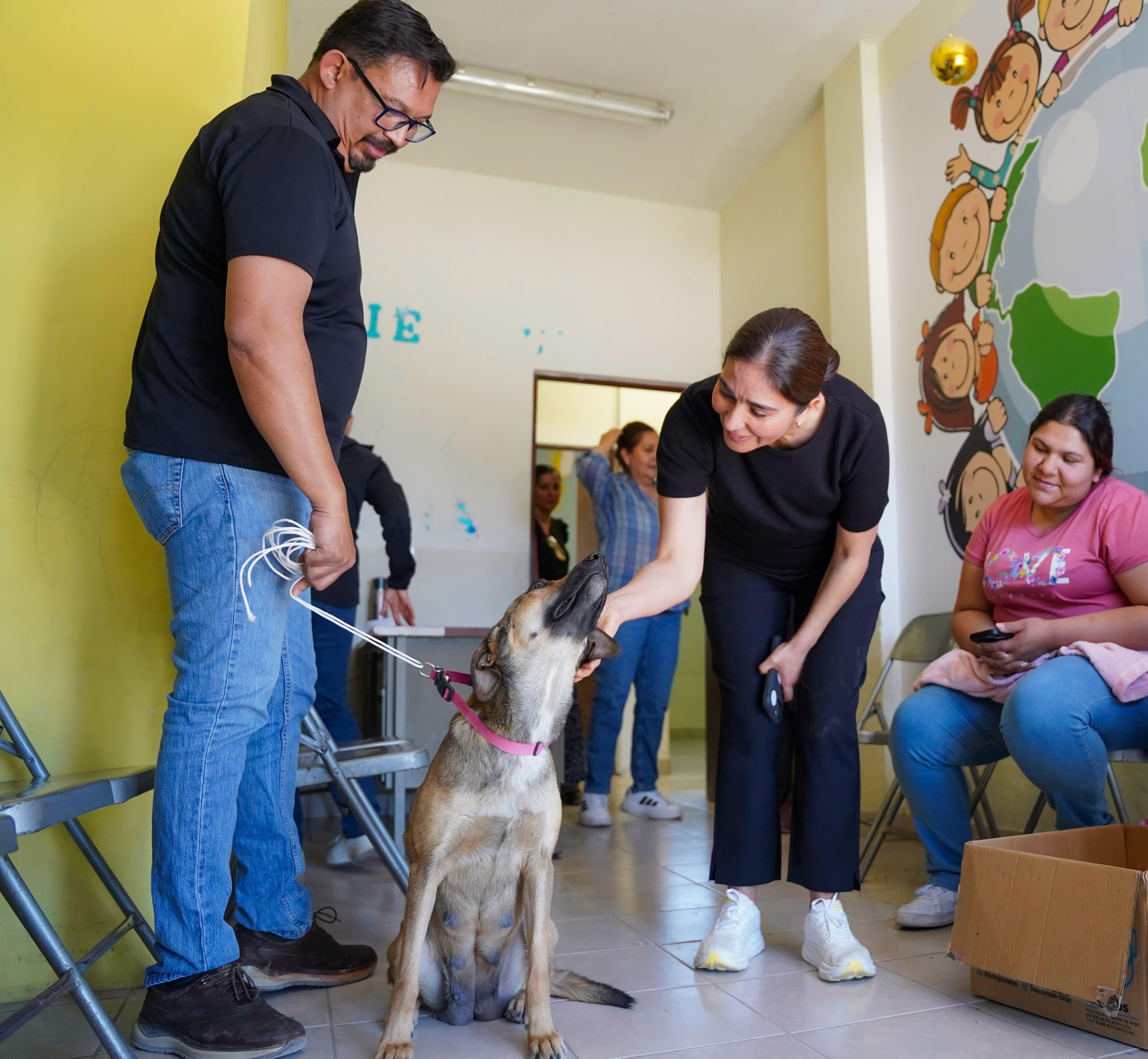 Ramos Arizpe prioriza atención de mascotas