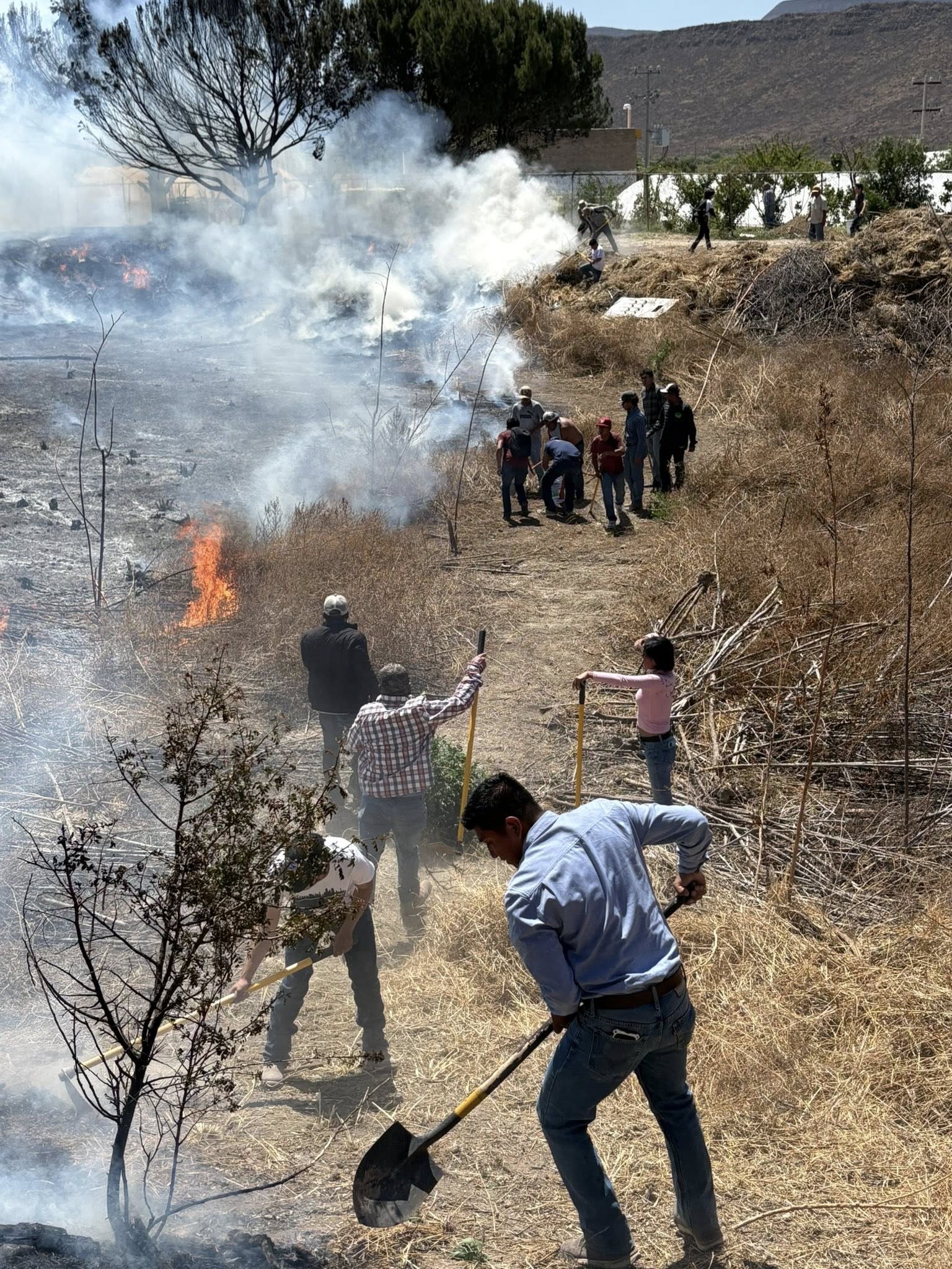 Incendio en la UAAAN arrasa jardín y tejabanes