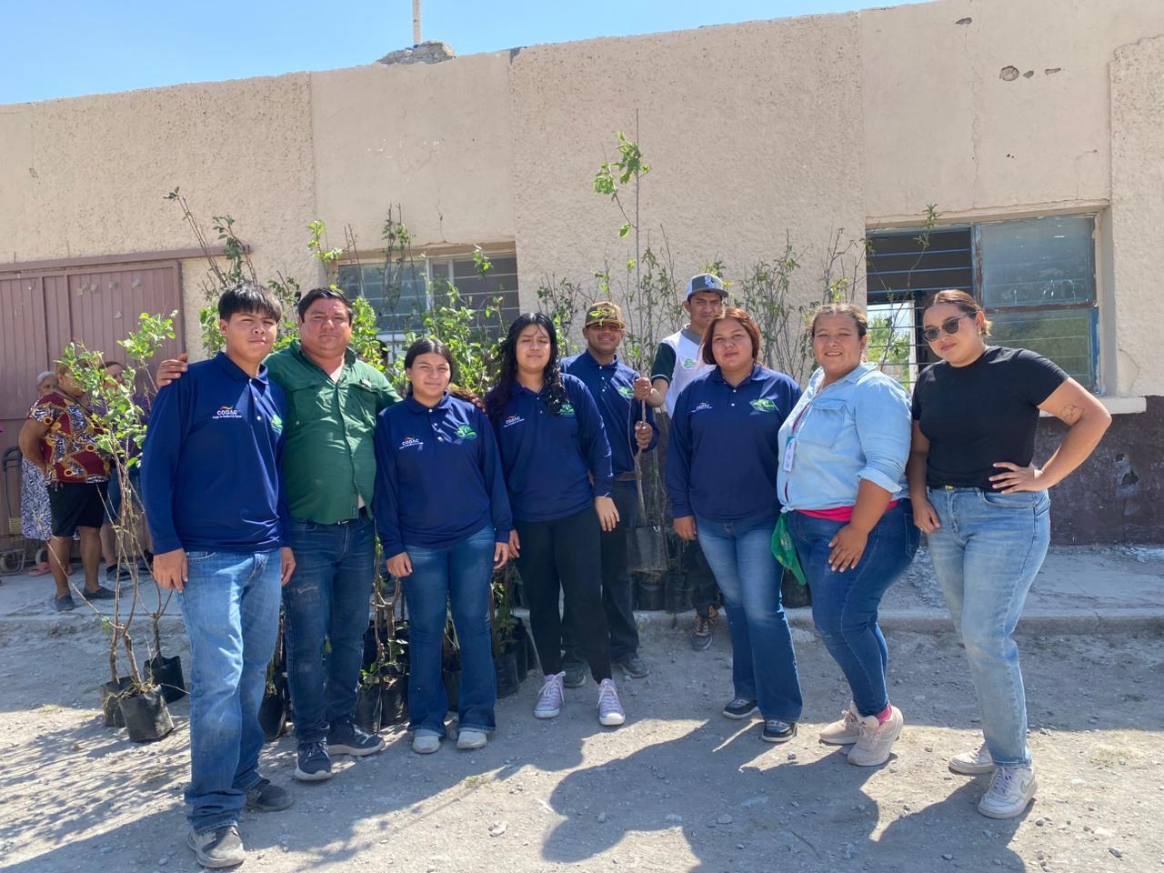 Avanza compromiso de forestación en Ciénegas