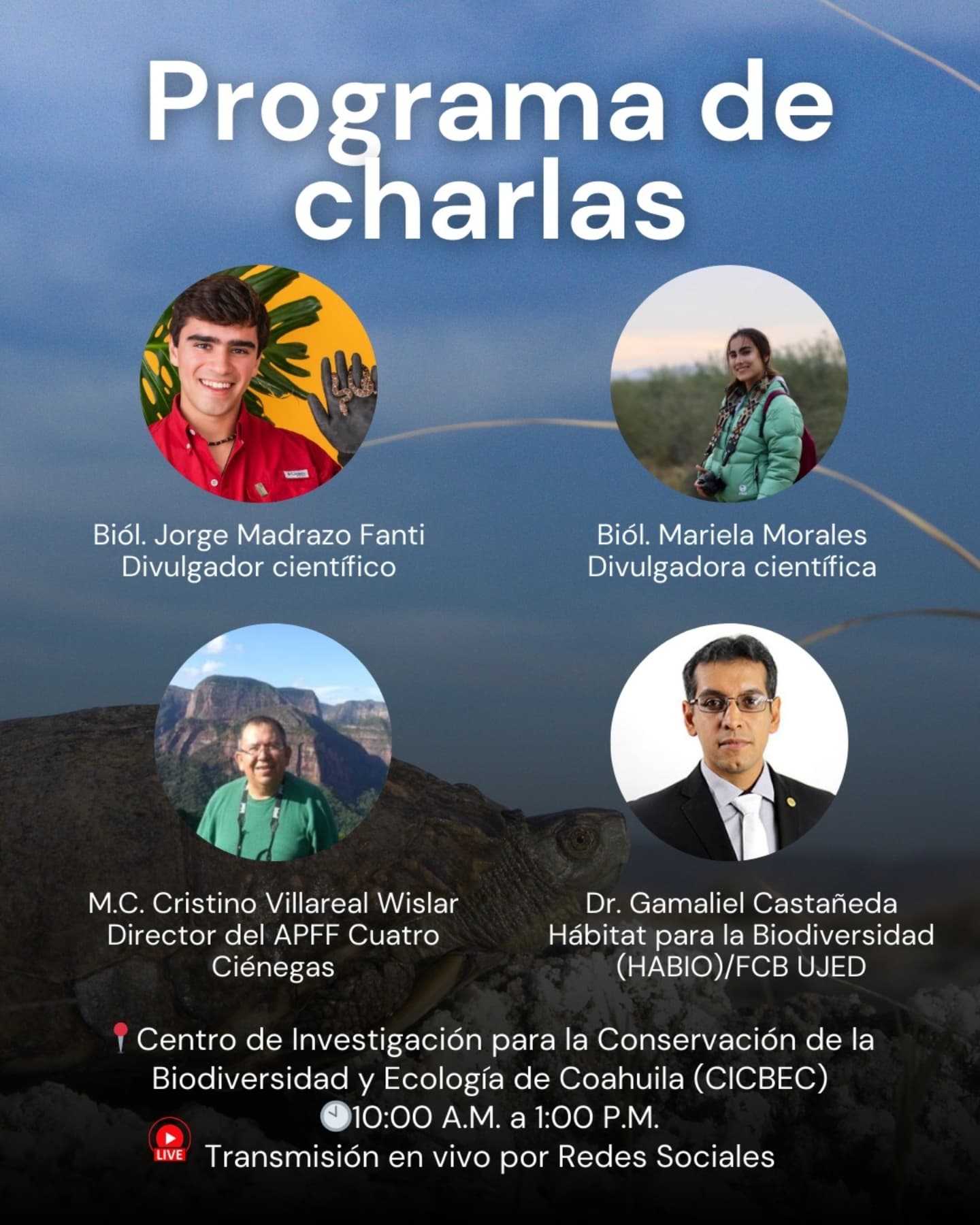 Llega el Primer Festival de las Tortugas Cieneguenses