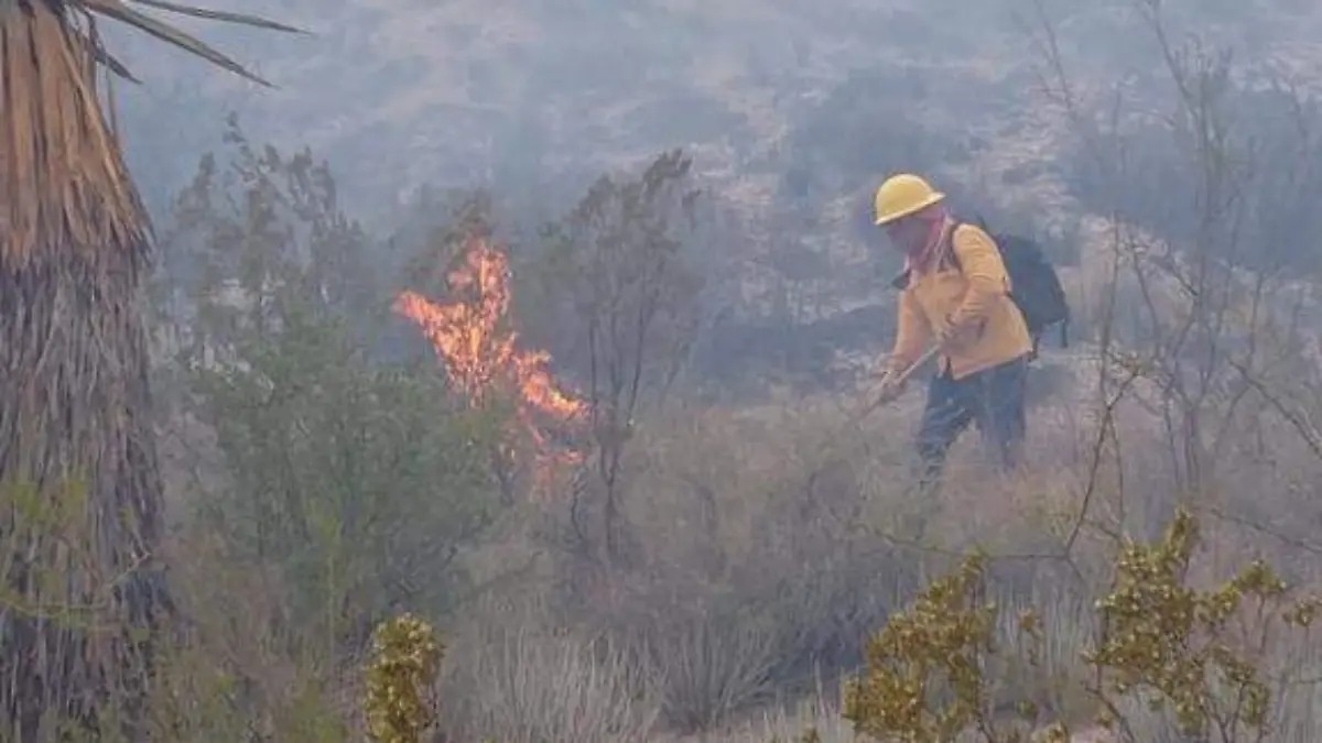 ARDE CAÑÓN DEL CHILPITÍN