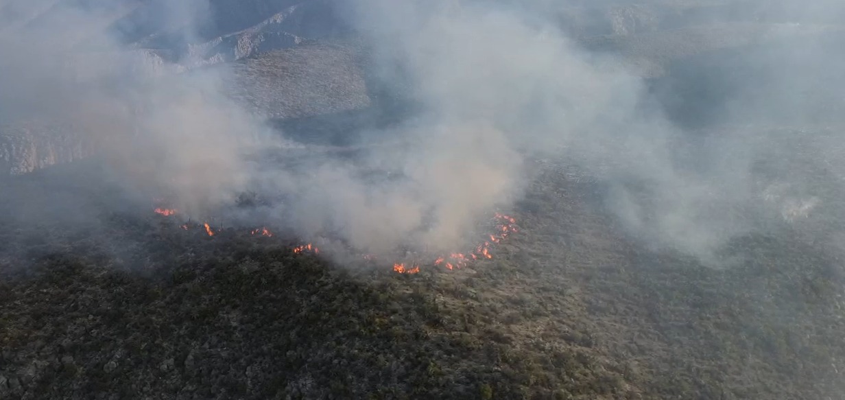 Reportan 5 incendios forestales en Coahuila