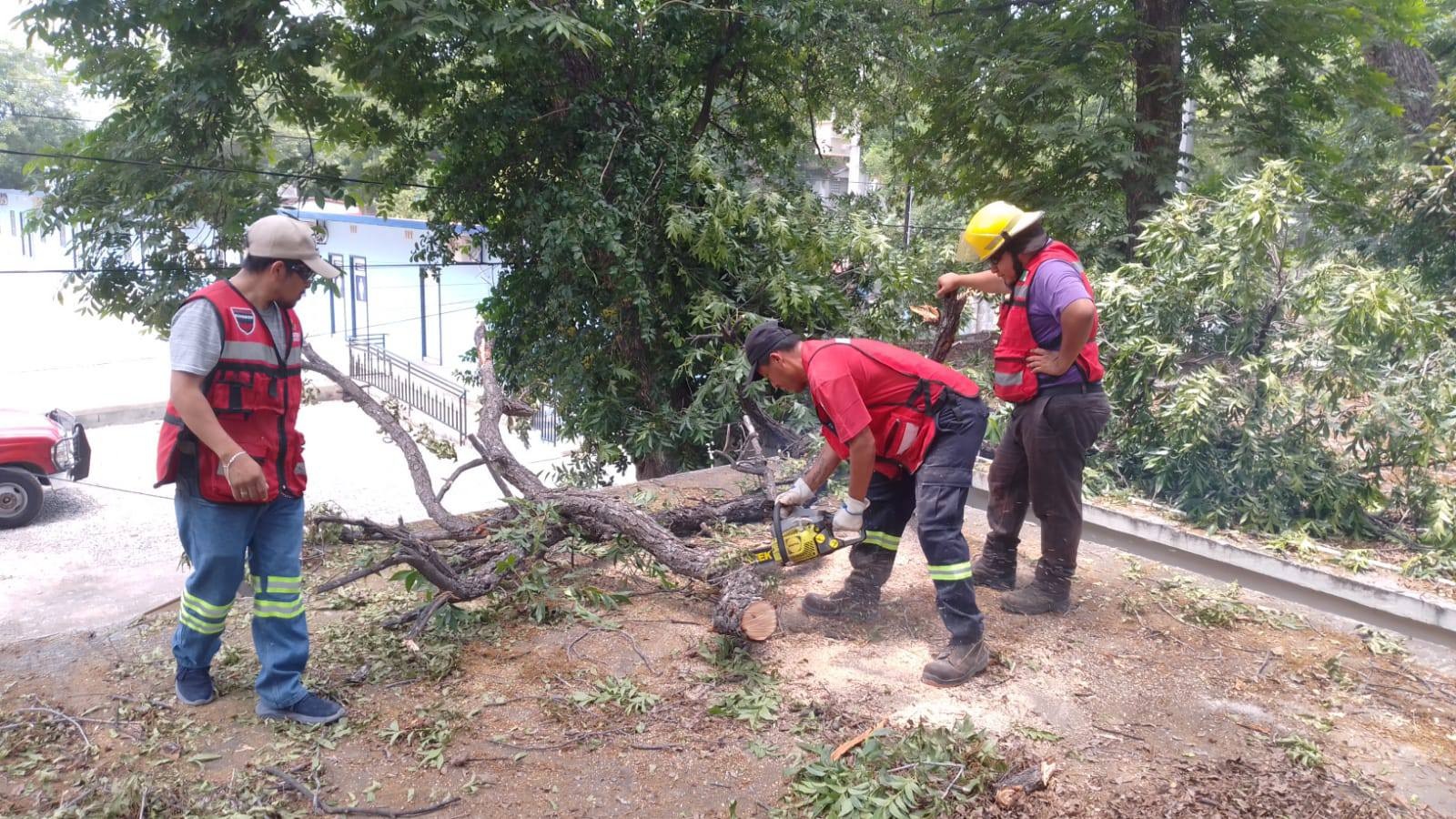 Mantiene Múzquiz operativo por fuertes vientos y tormentas