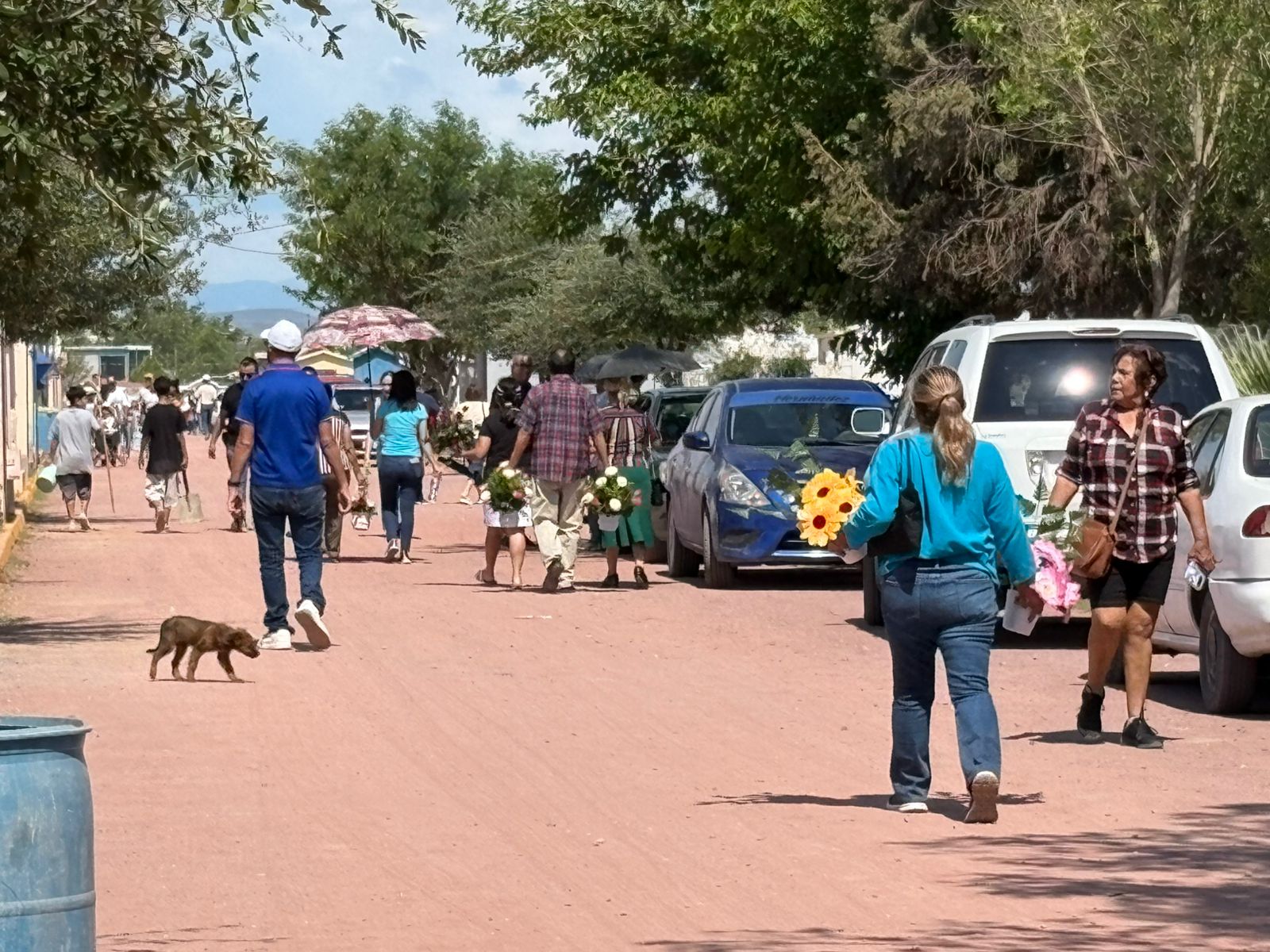 Convierten madres panteón en jardín