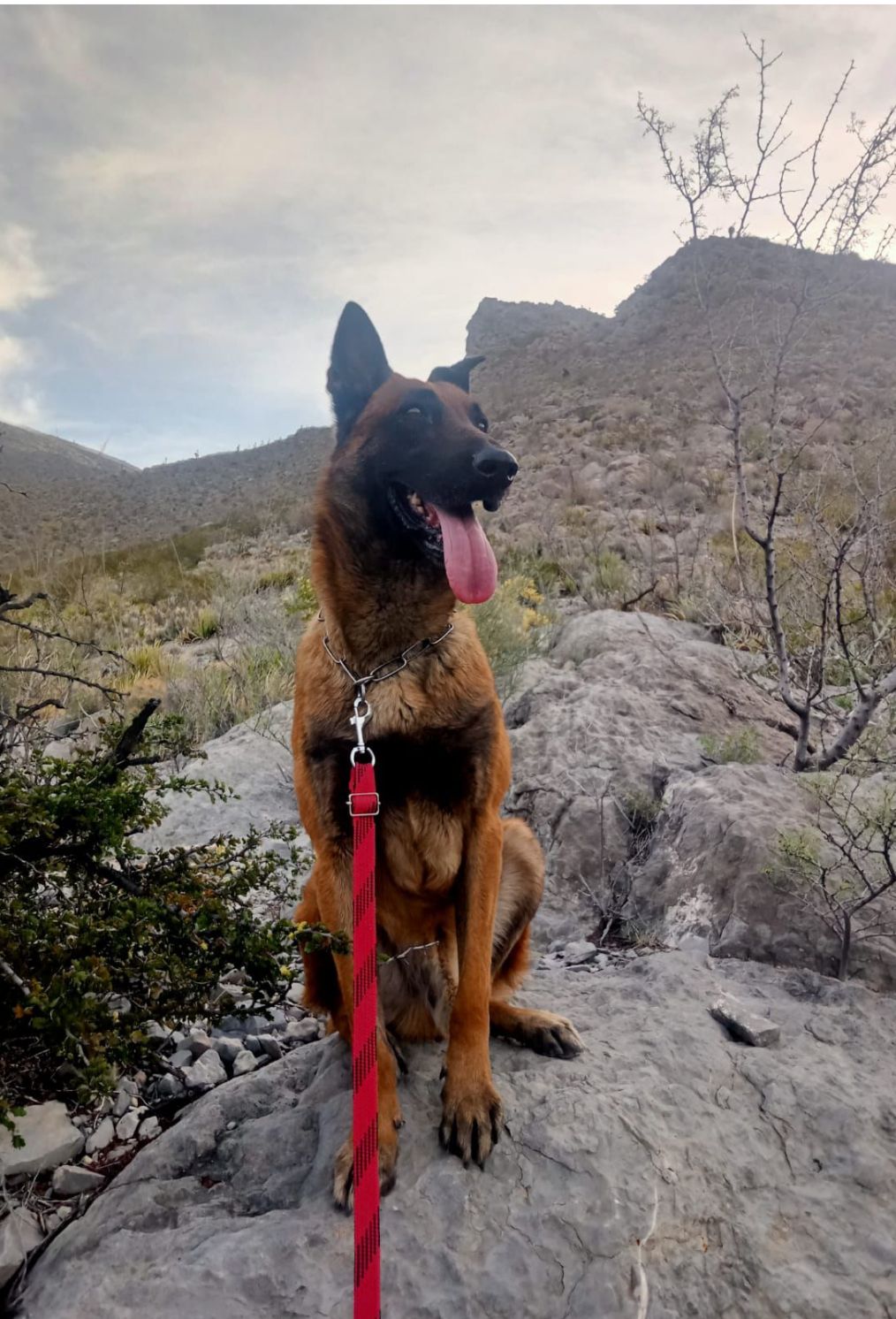 Muere “agente Lucky” integrante de la PCC