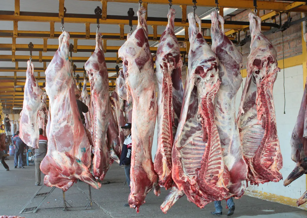 Cierre de la frontera golpea a productores