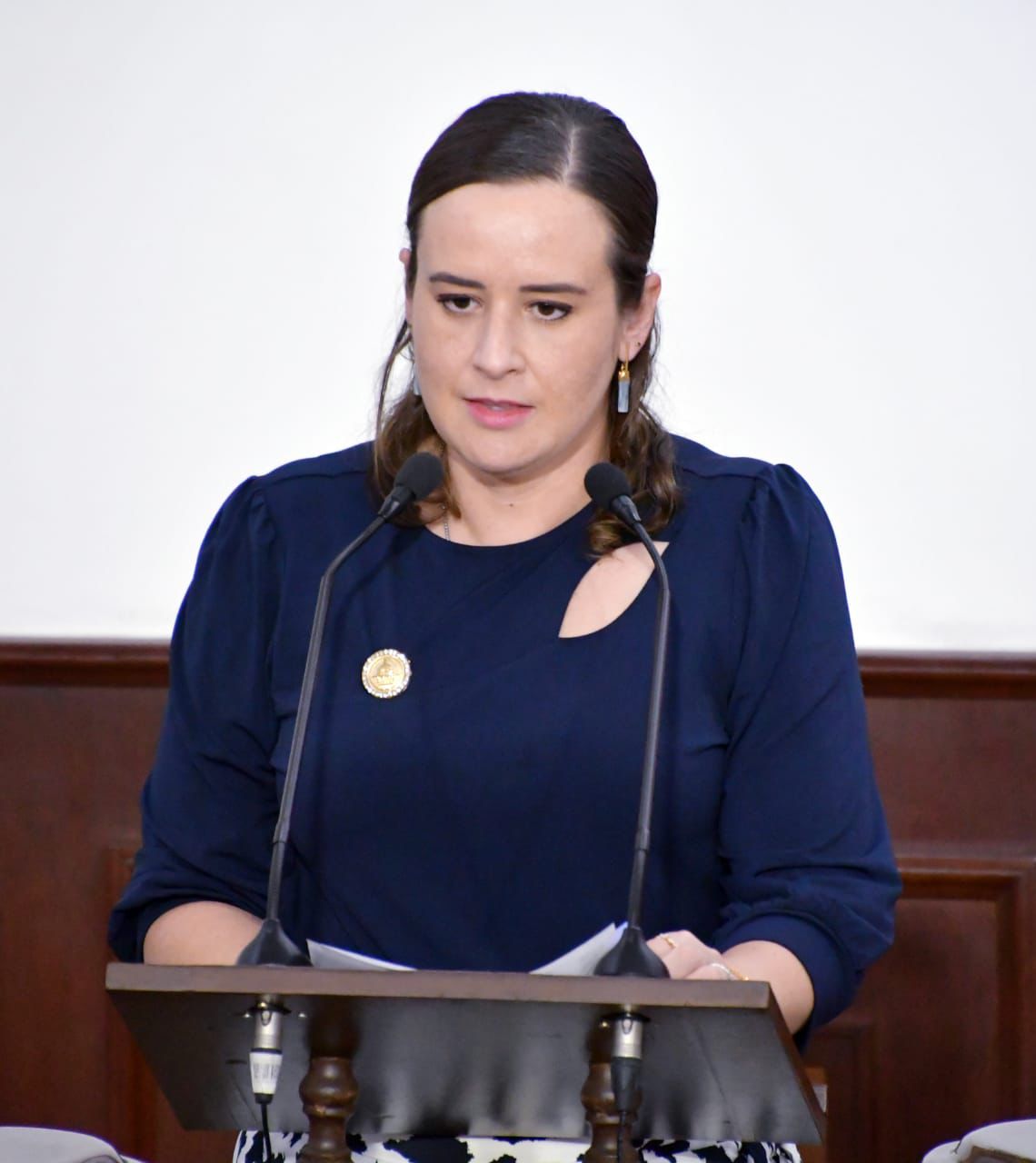 Pide Congreso apoyar al emprendedor comercial