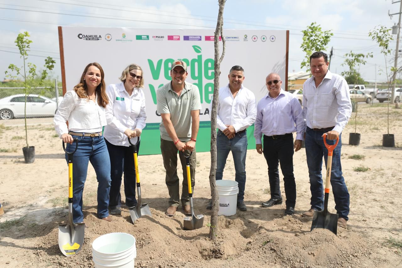 CON “VERDE VERDE COAHUILA” SEMBRAMOS 20 MIL ÁRBOLES