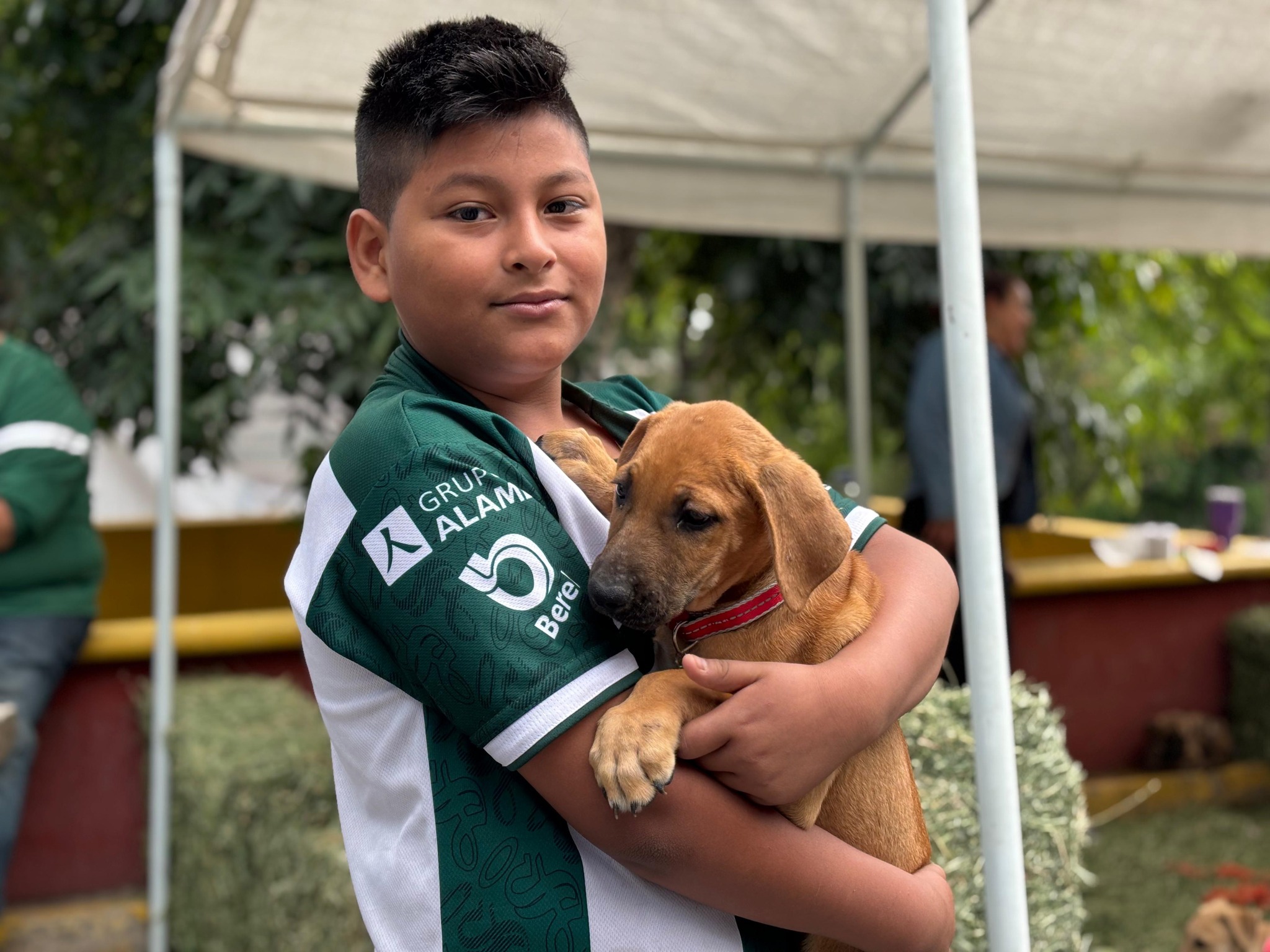 Mascotas rescatadas encuentran un hogar
