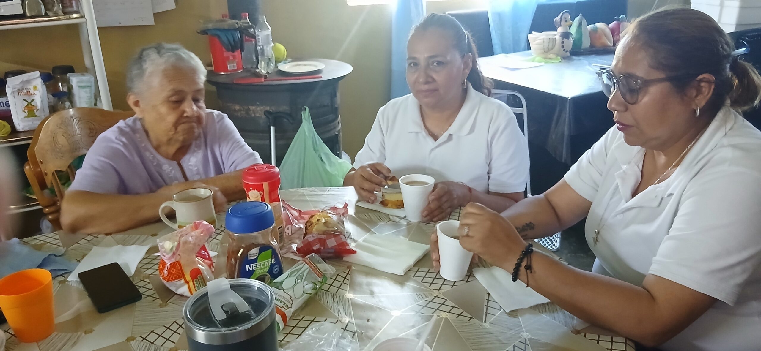 Reconoce Ocampo legado de sus adultos mayores