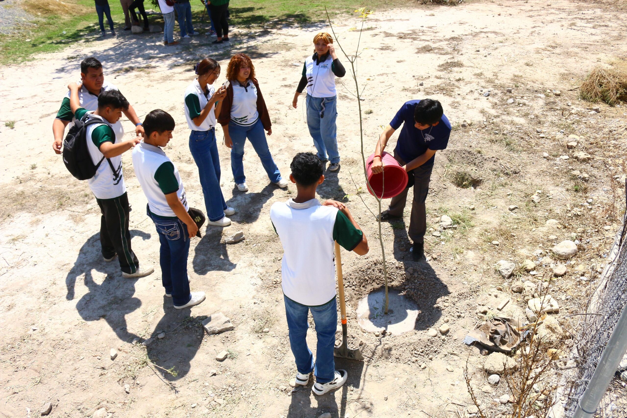 Impulsa Ramos reforestación y mantenimiento en Cobac