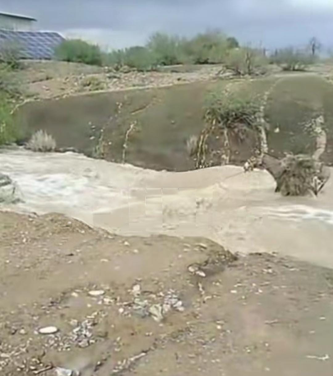 Casi se lo lleva el río; pero el burro aguantó