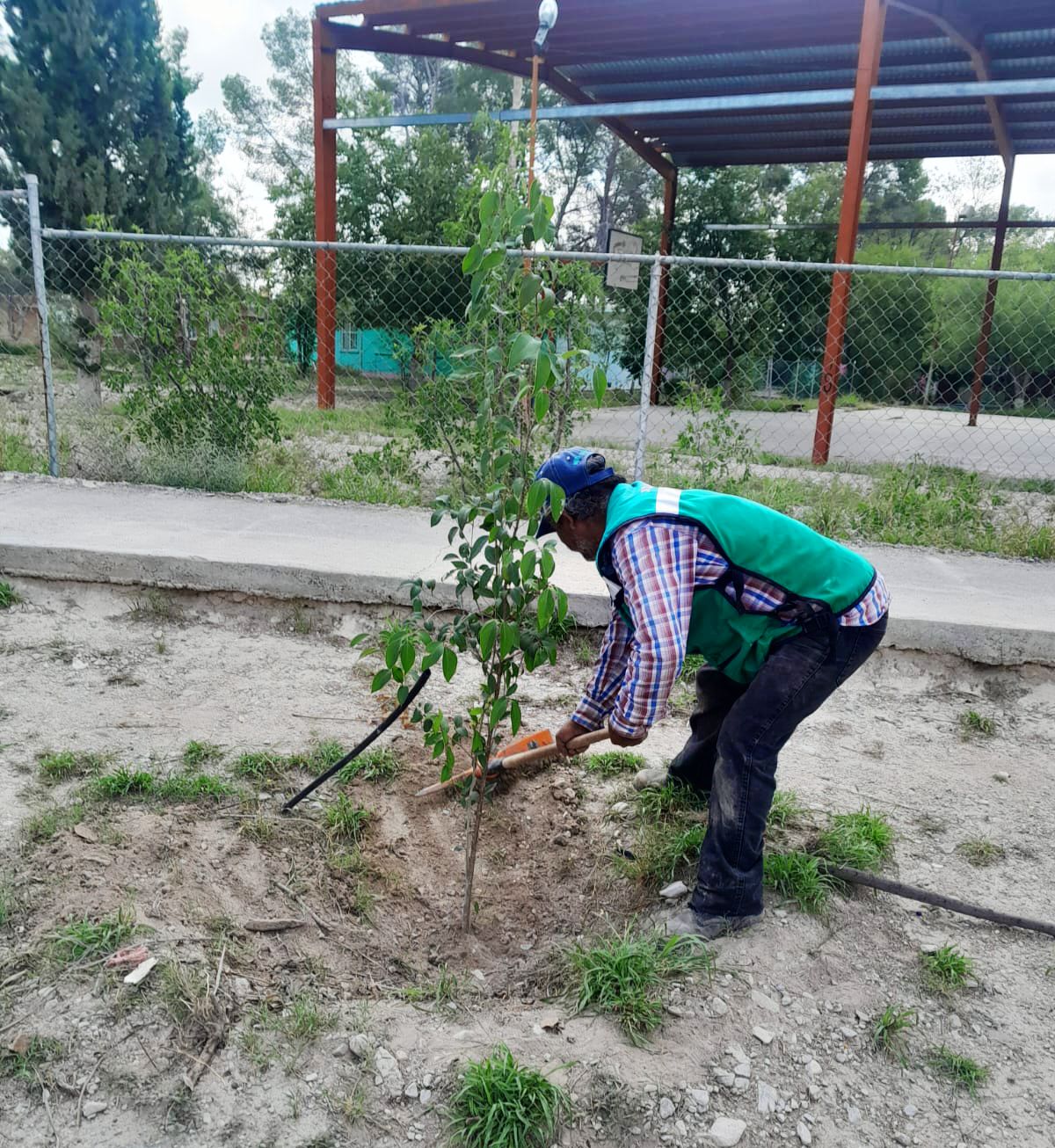 Ponen manos a la obra en Ocampo