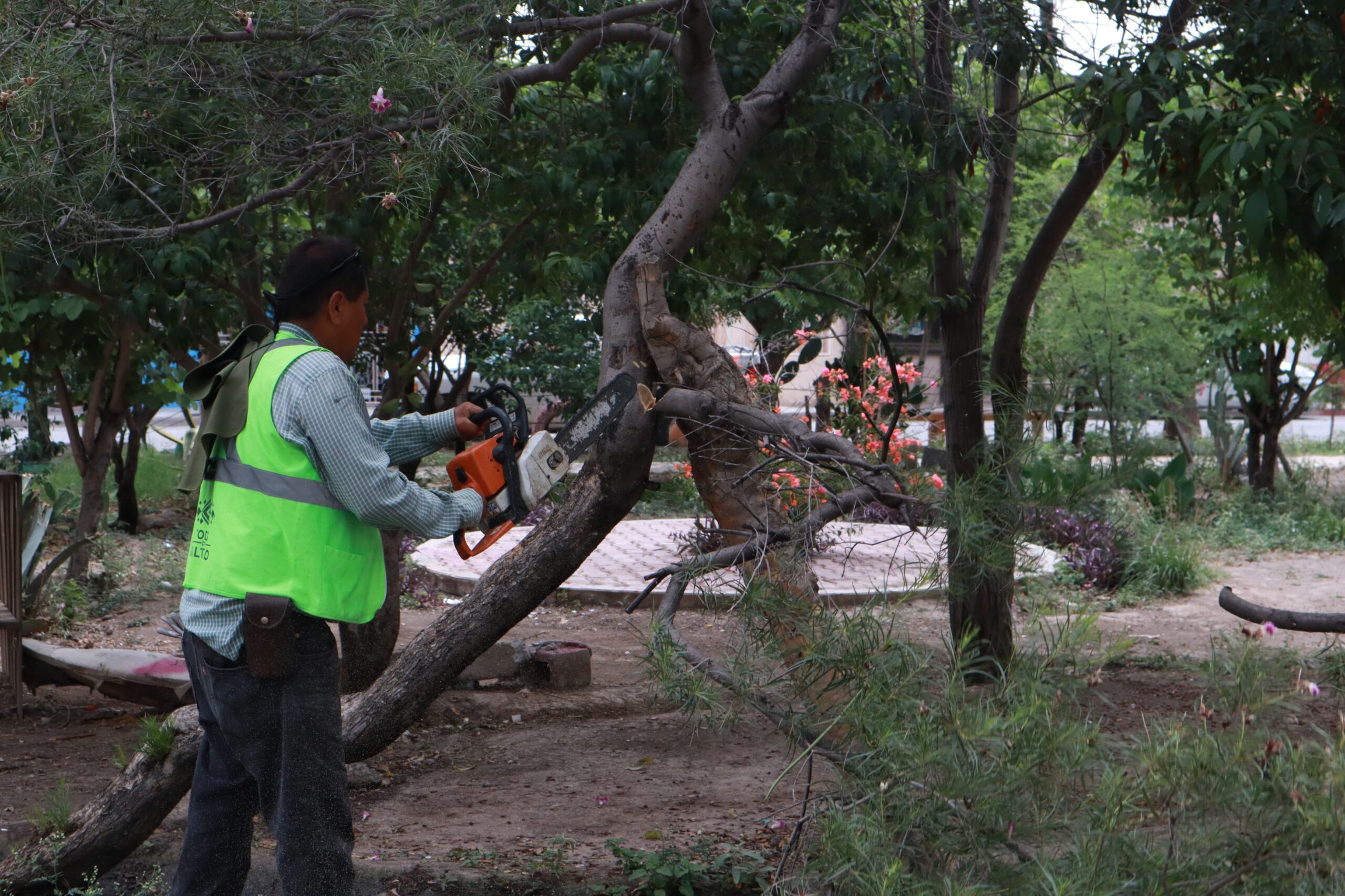 Continúa Gobierno de Saltillo trabajo de rescate de plazas públicas