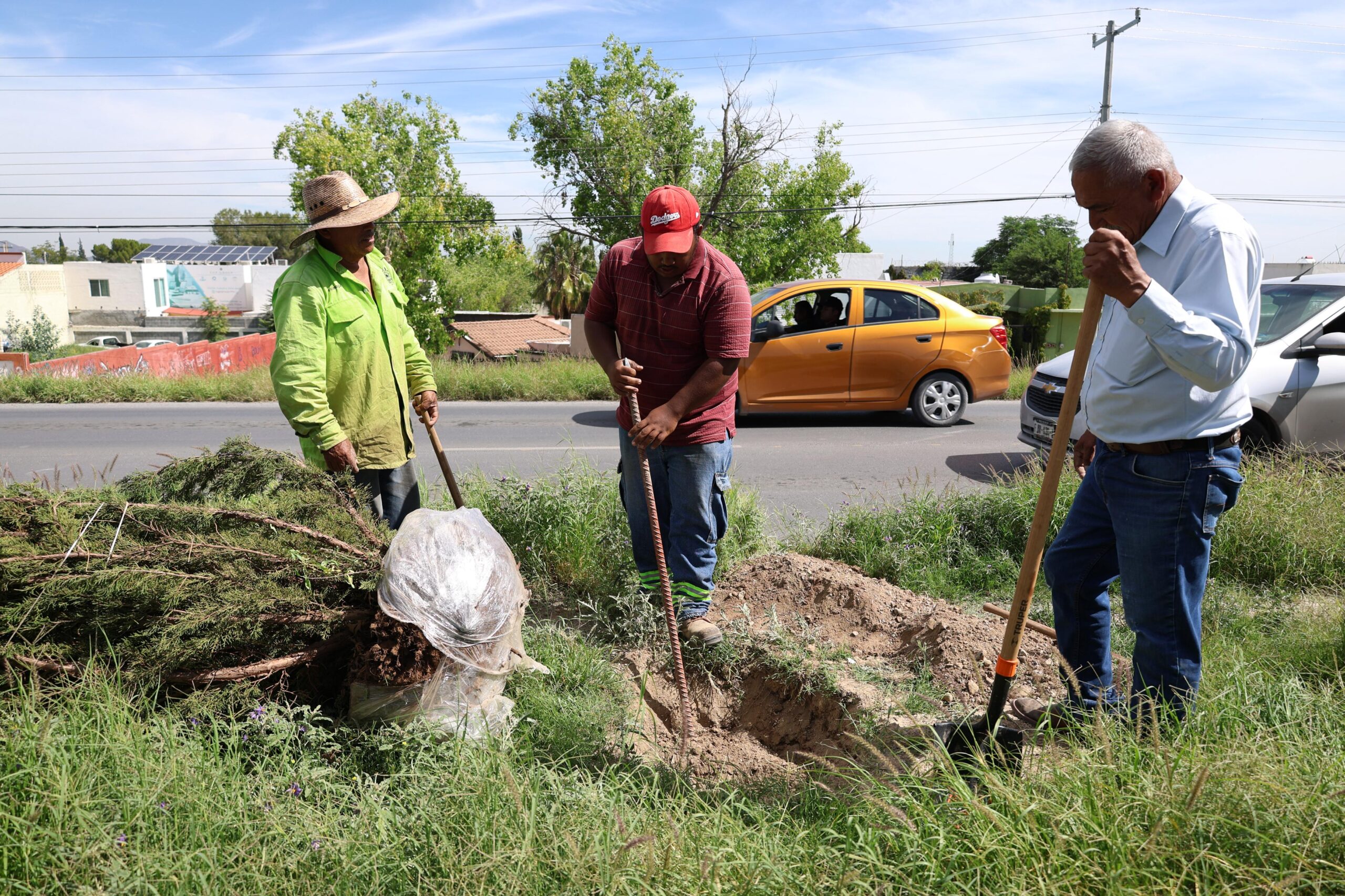 Continúa Saltillo reforestando en todos los sectores de la ciudad