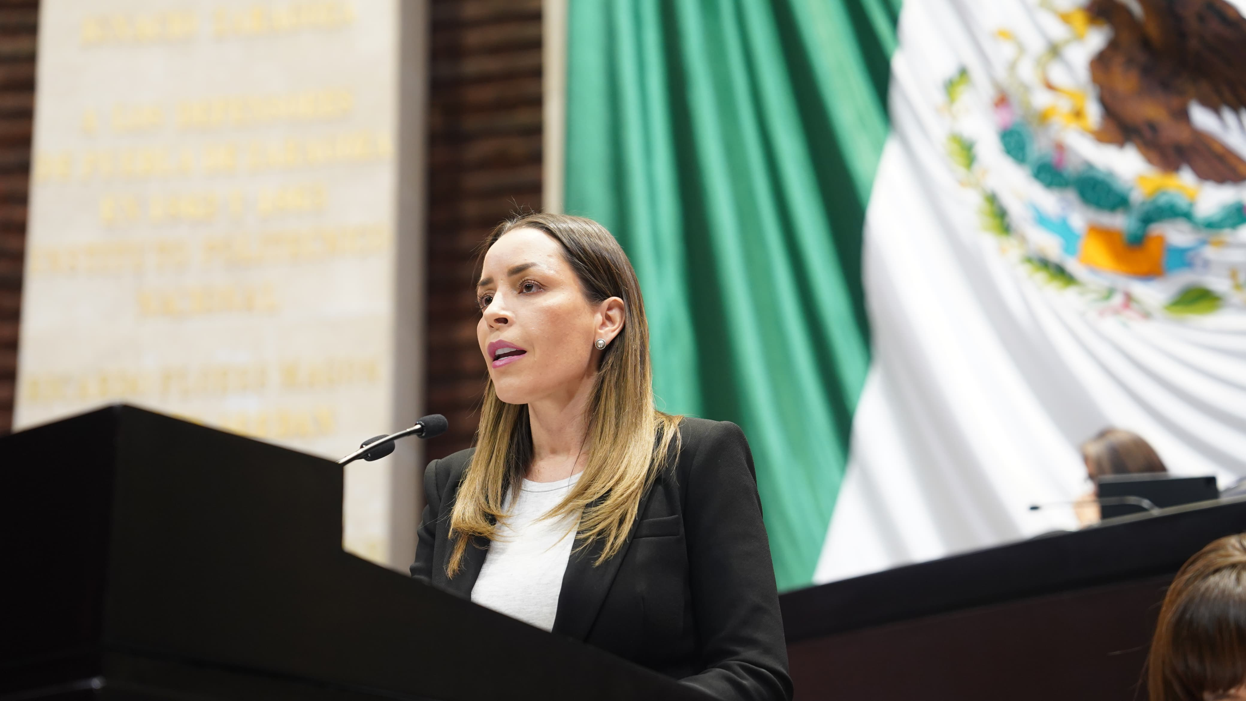 URGE QUE CFE EJERZA ACCIONES DEFINITIVAS PARA SOLUCIONAR LOS CONSTANTES APAGONES EN LA LAGUNA: VERÓNICA MARTÍNEZ