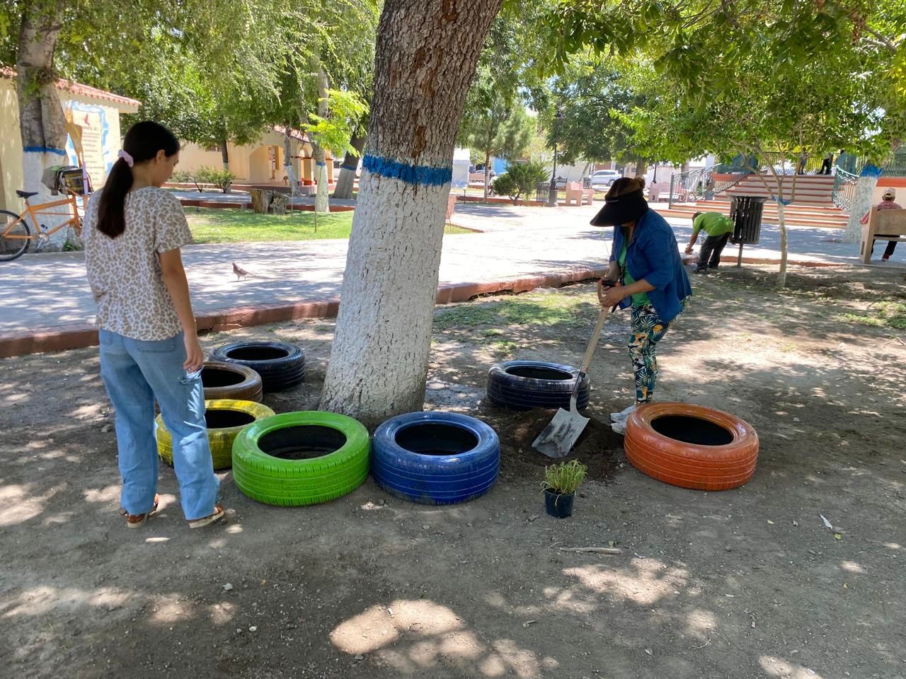 Jóvenes se suman al rescate de áreas verdes en Ciénegas
