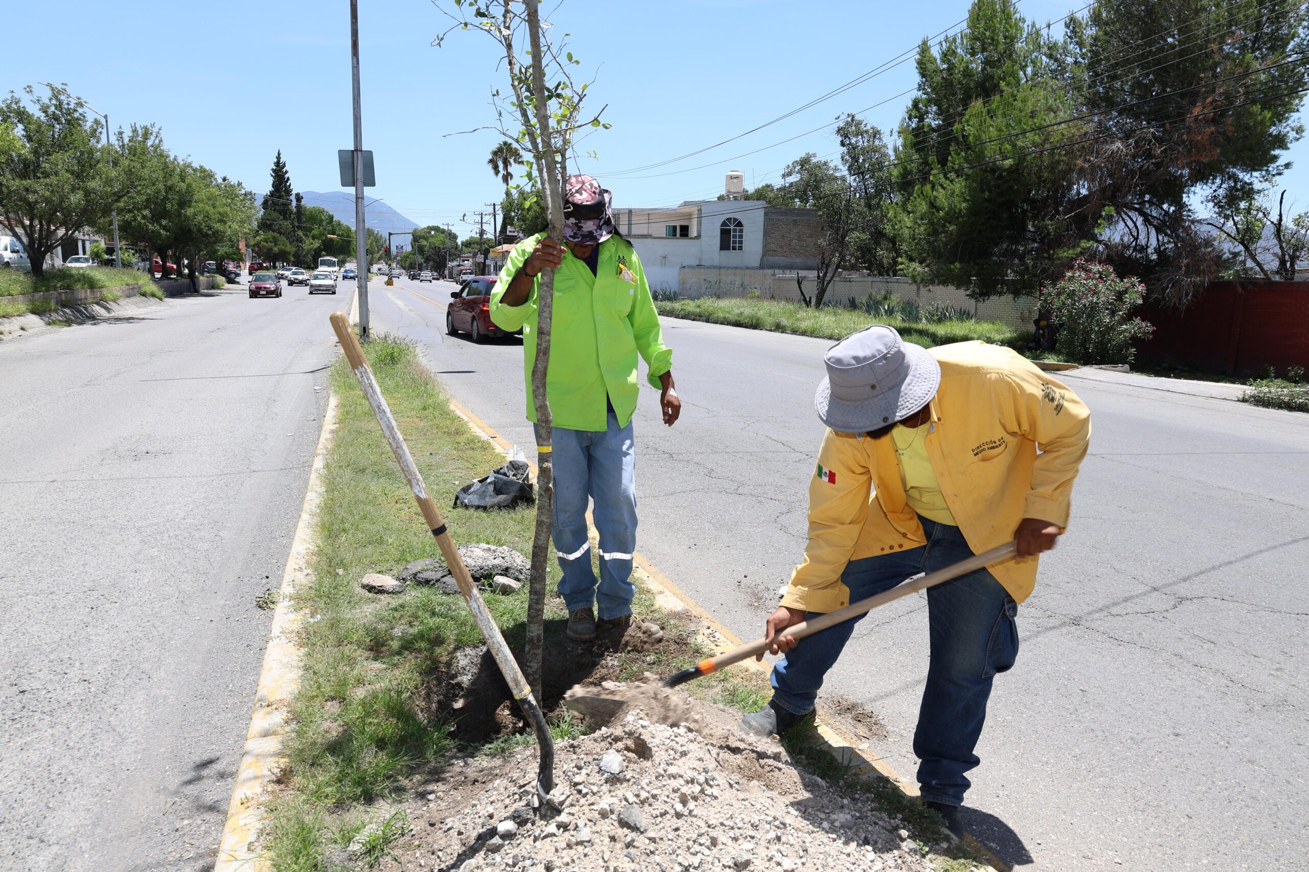 Avanza reforestación de espacios públicos en Saltillo