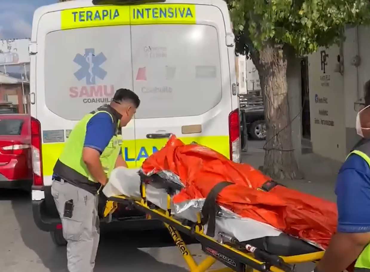 La sorprende cigüeña en plena zona centro