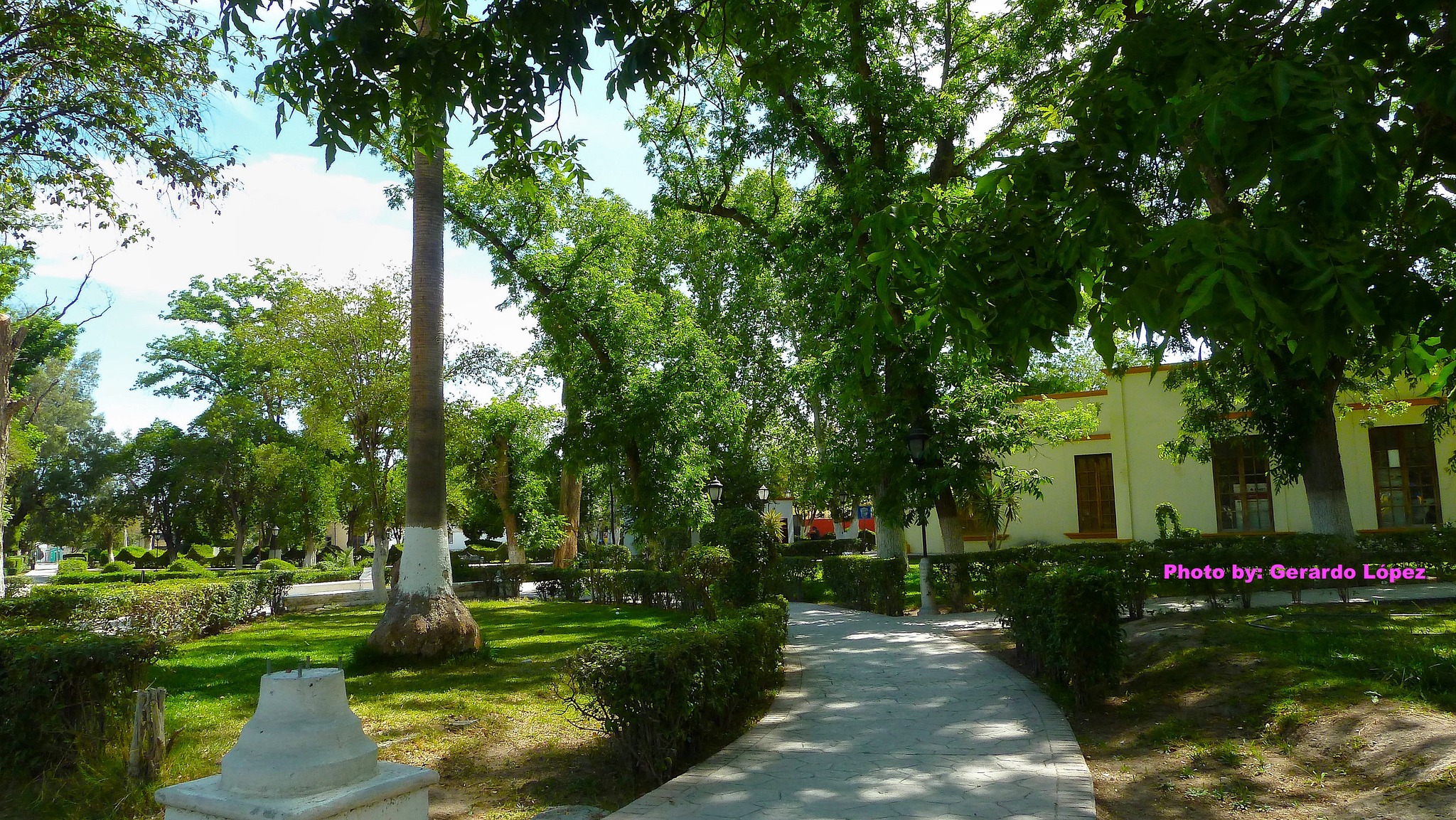 Disfrutará Parras de un clima de ensueño