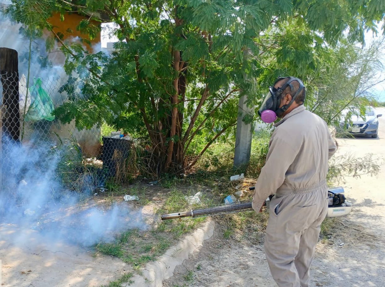 En Frontera intensifican acciones contra dengue
