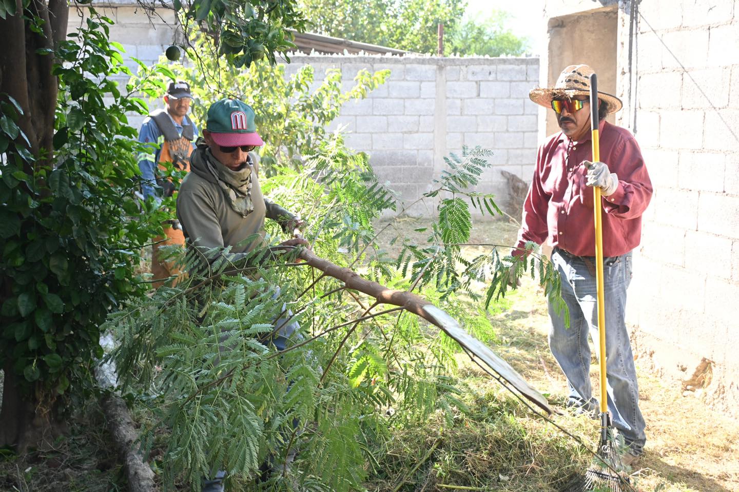 Rescatan vivienda de adulto mayor engullida por maleza