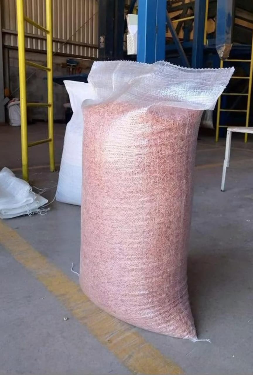 Anuncia CNC apoyo a productores de la RC