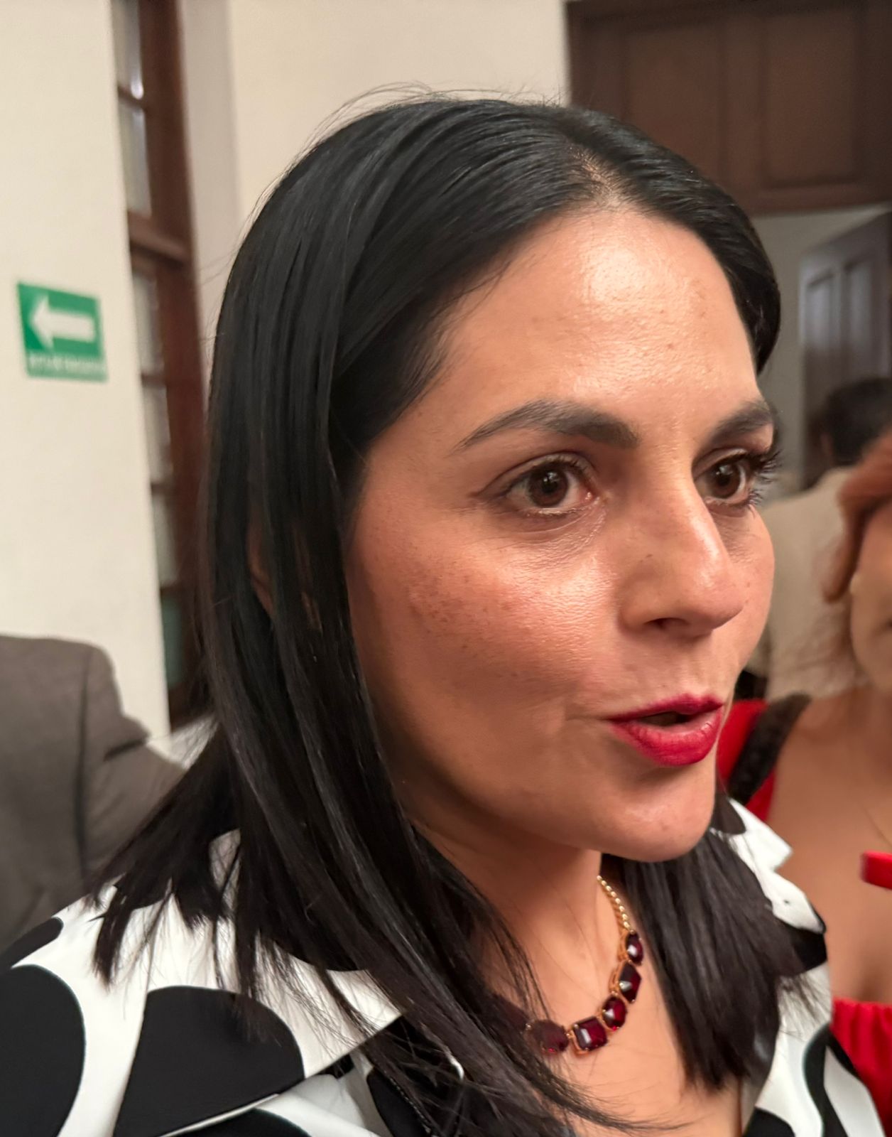 Reprobable rechazo de Morena al transporte gratuito: Luz Elena