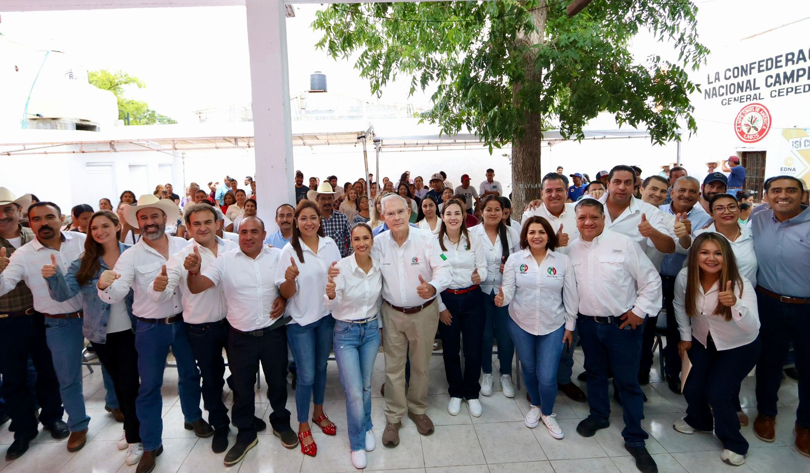 Comienza PRI con renovación y fortalecimiento de comités municipales