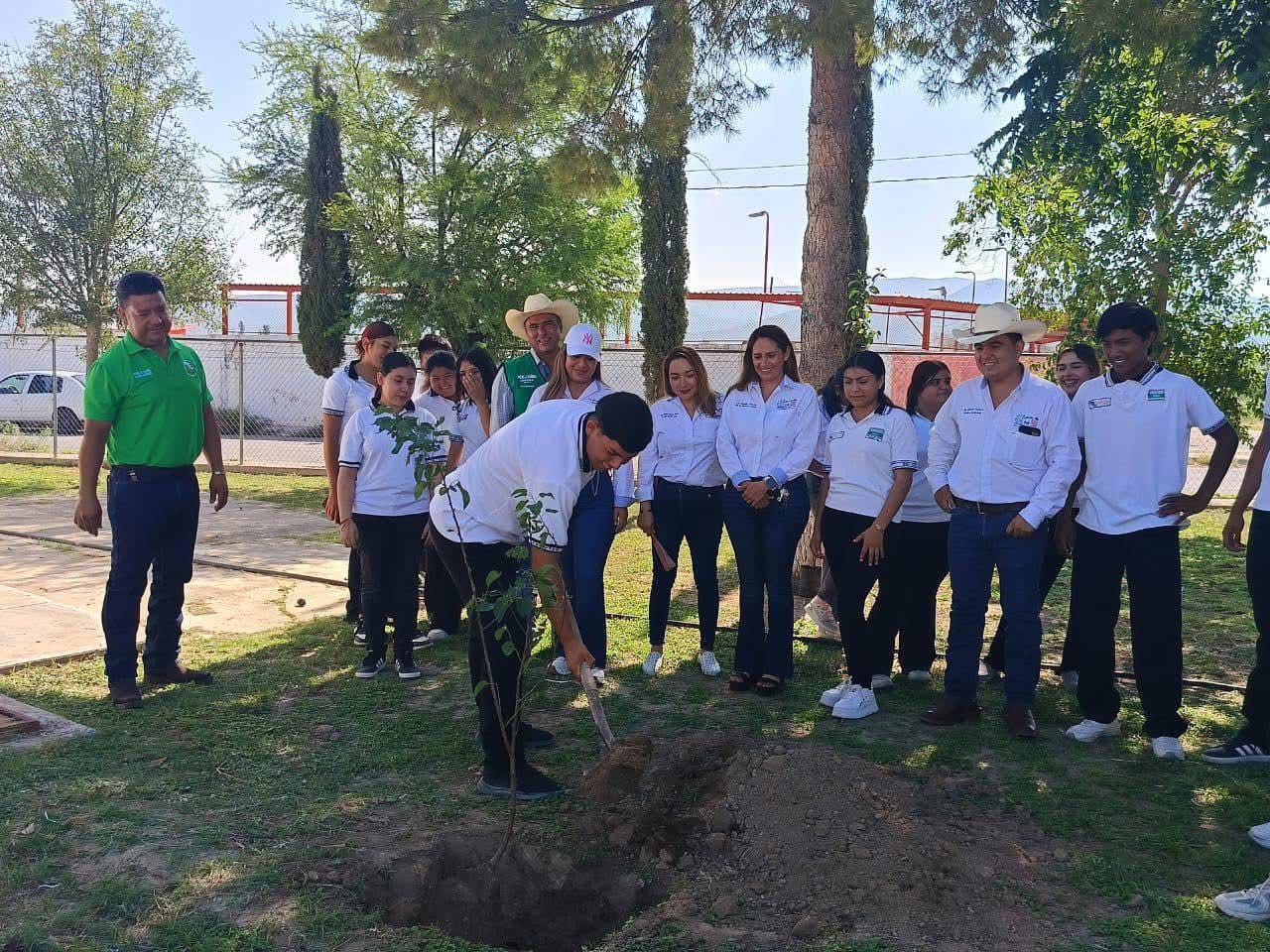 Sumará esfuerzos para reforestar 70 hectáreas