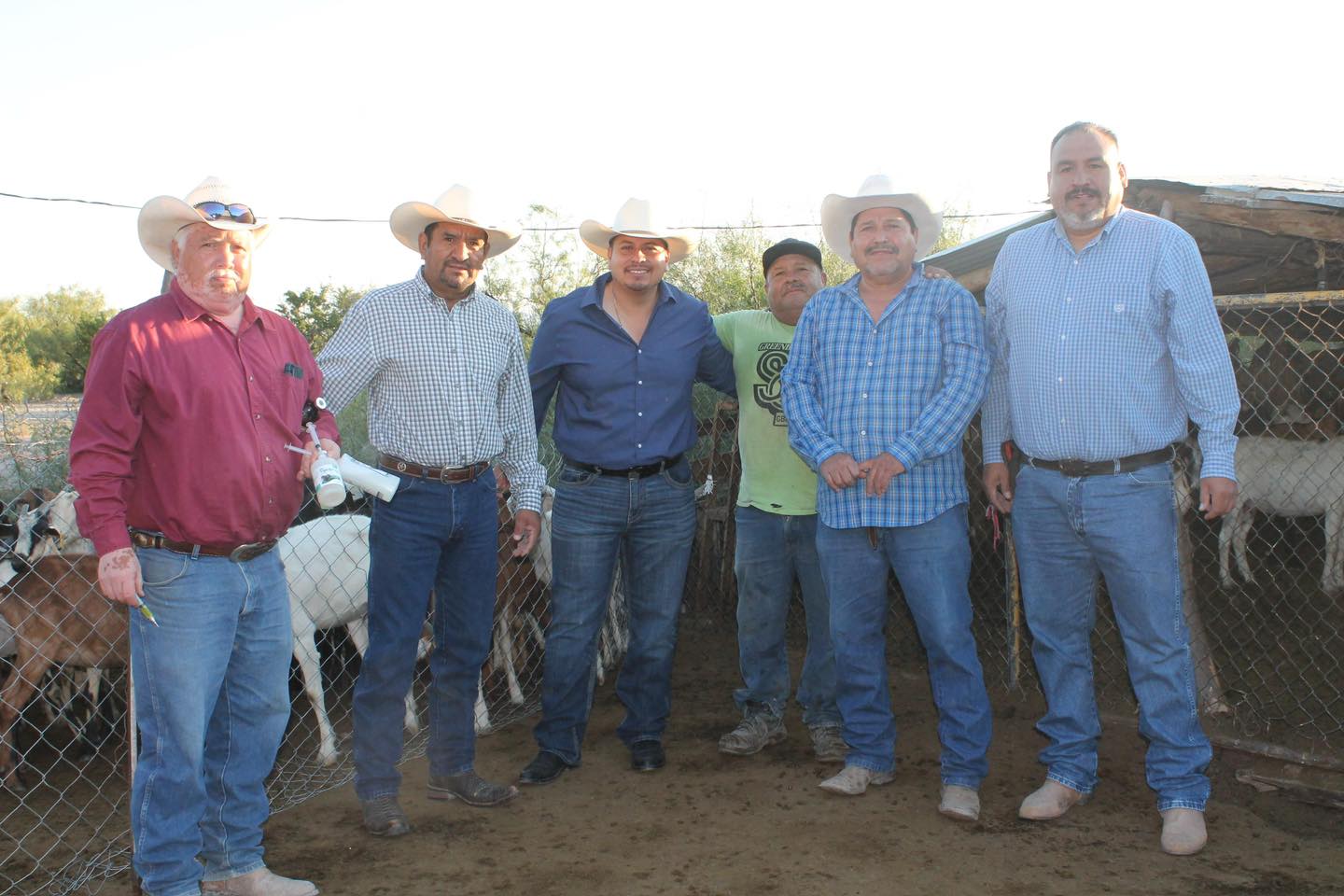 Refuerza San Buena el apoyo a ganaderos