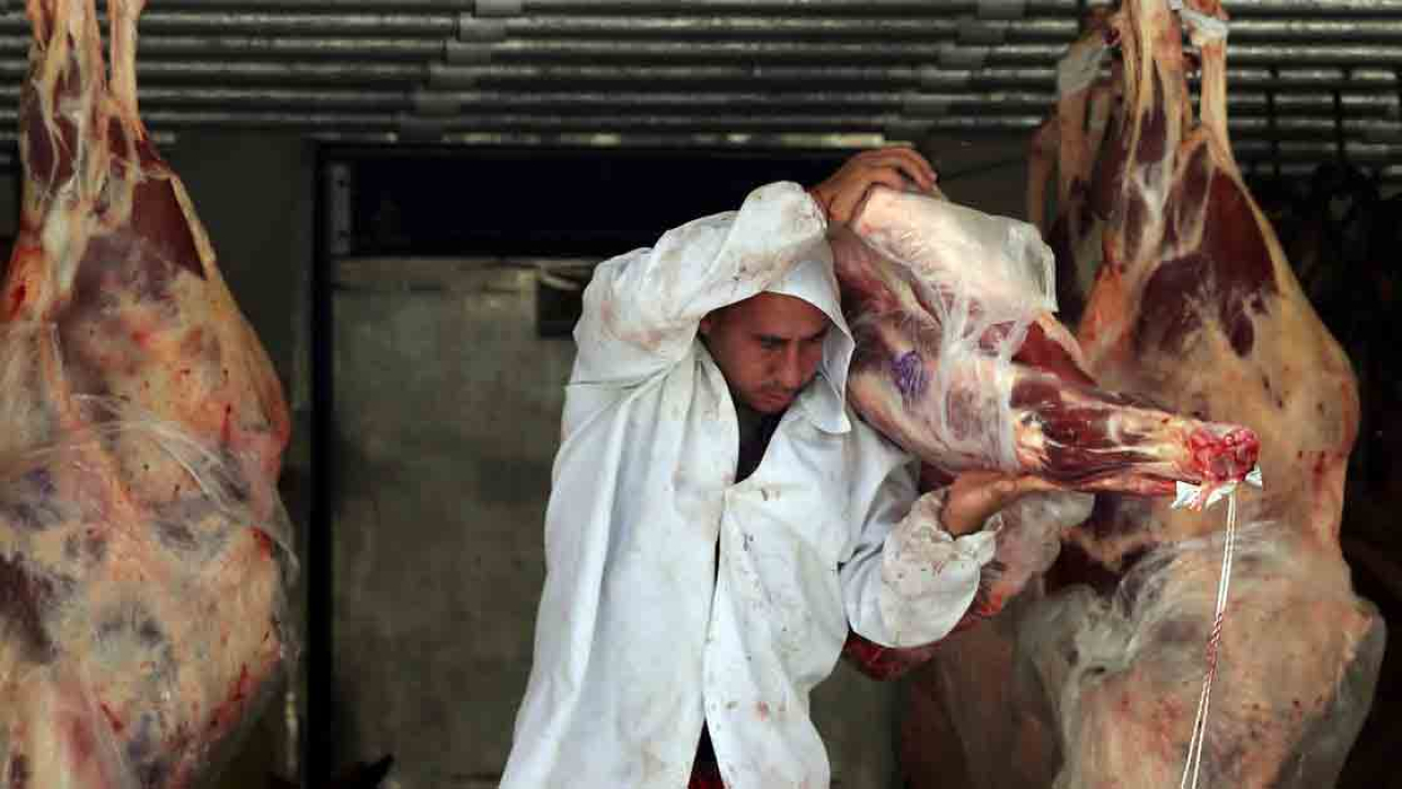 Destinarán 700 MDP a la producción de carne