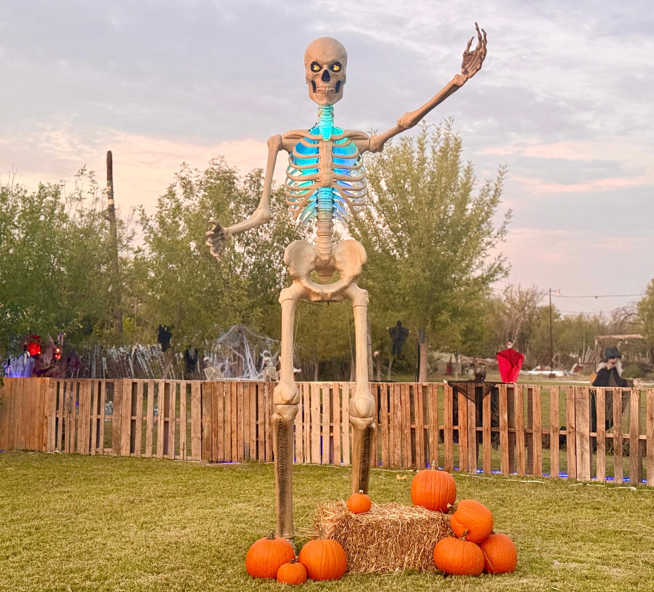 Abre Casa Roni sus puertas a la cosecha de calabazas