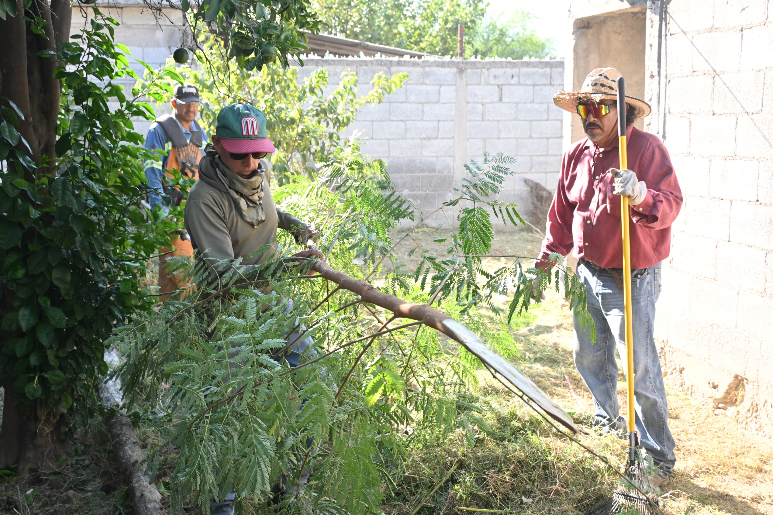 Municipio rescata vivienda de adulto mayor engullida por la maleza