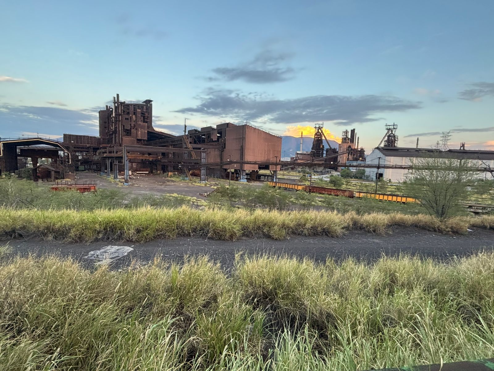 Abrirán las puertas de AHMSA a inversores