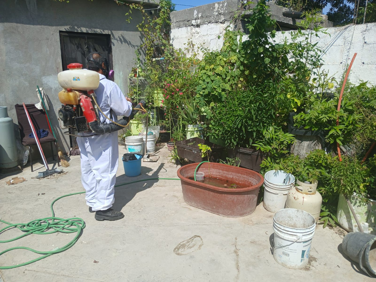 Sari Pérez implementa acciones de control para combate al Dengue