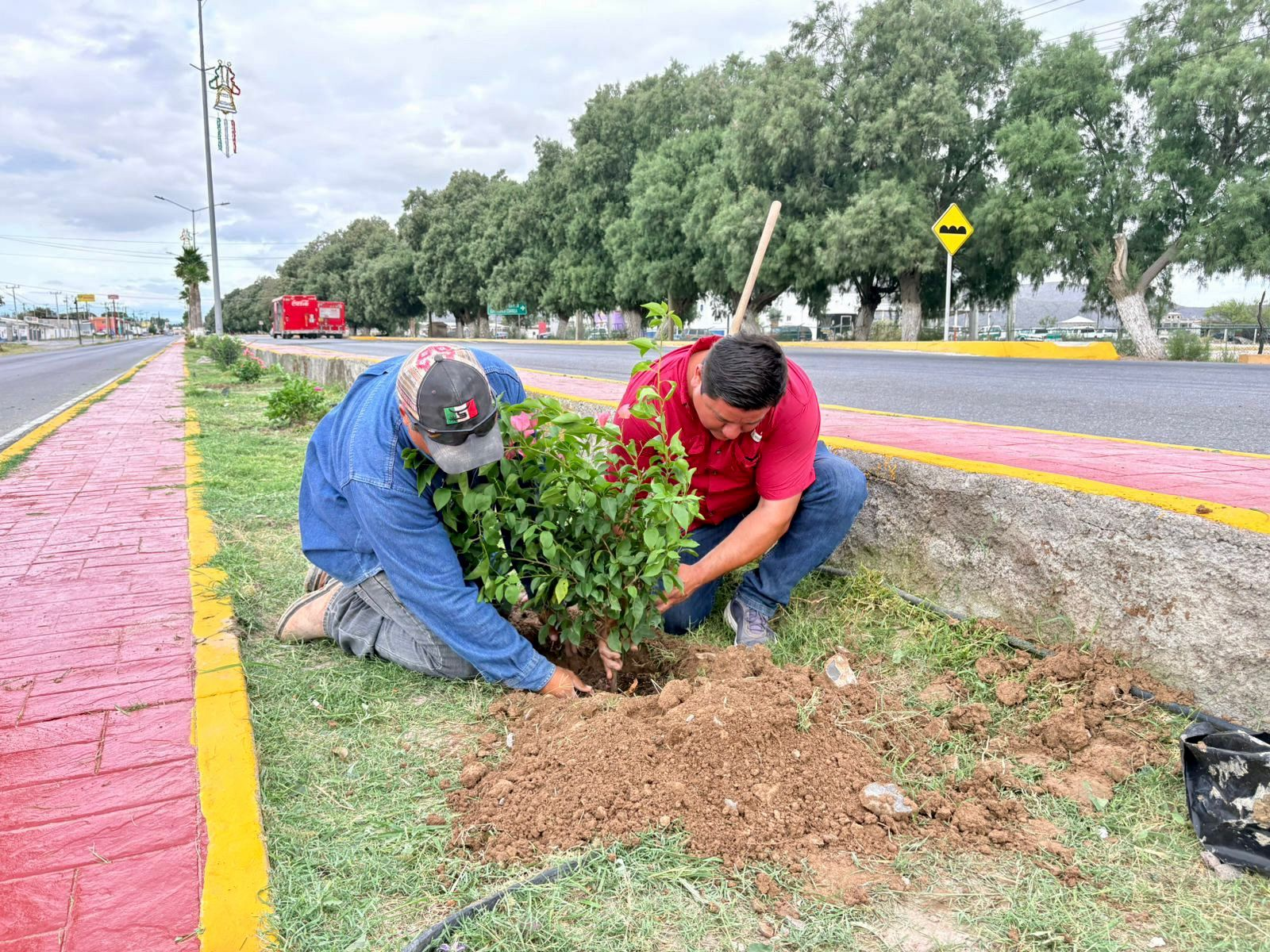 EMBELLECEN IMAGEN URBANA DE CUATRO CIÉNEGAS CON ACCIONES DE FORESTACIÓN