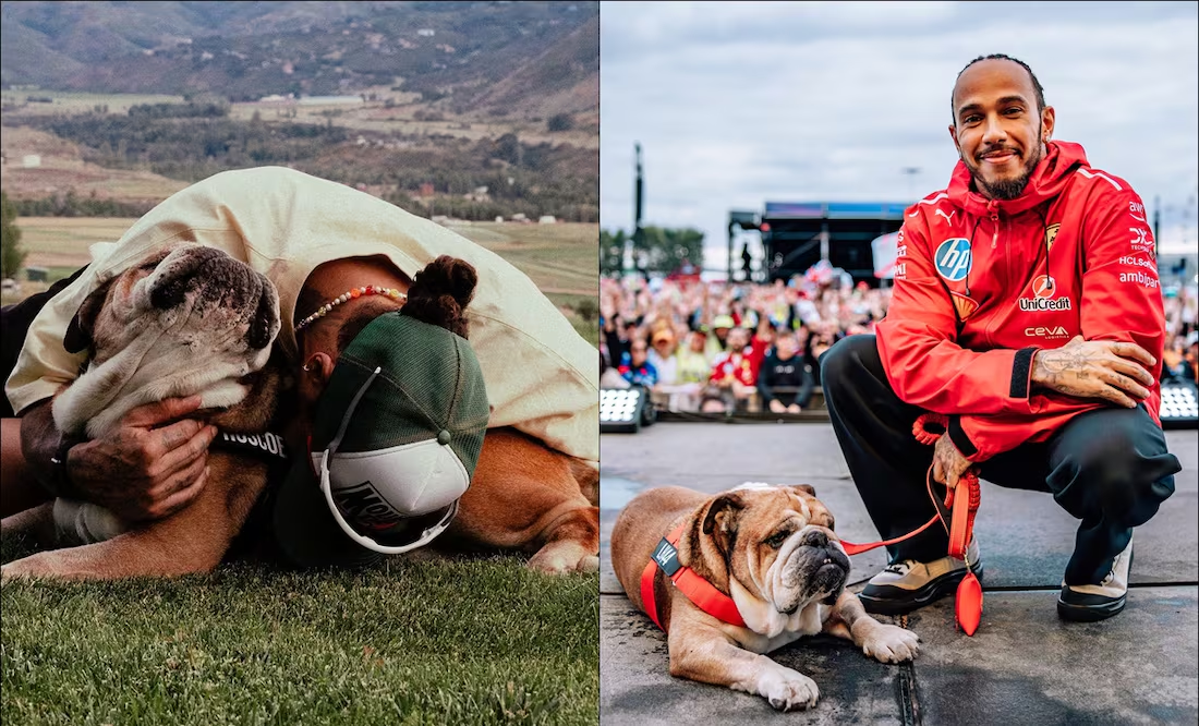 Lewis Hamilton anuncia la muerte de Roscoe con conmovedor mensaje: “Una de las experiencias más dolorosas”