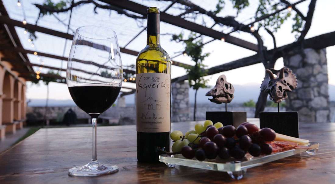 Vinos de Coahuila, protagonistas de nueva Ruta Turística Enológica