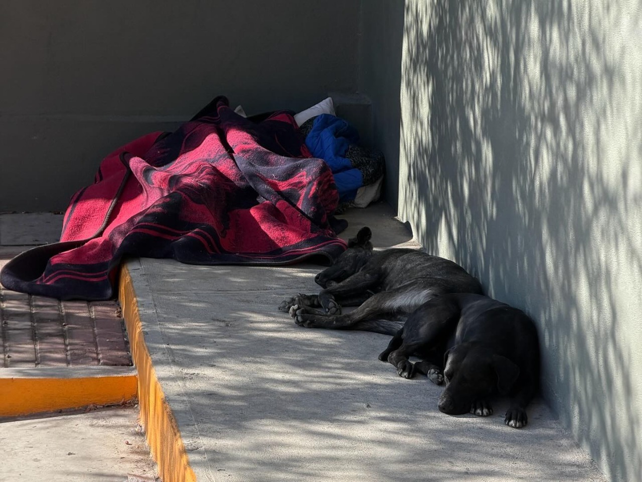 Fallece hombre afuera de tienda de conveniencia