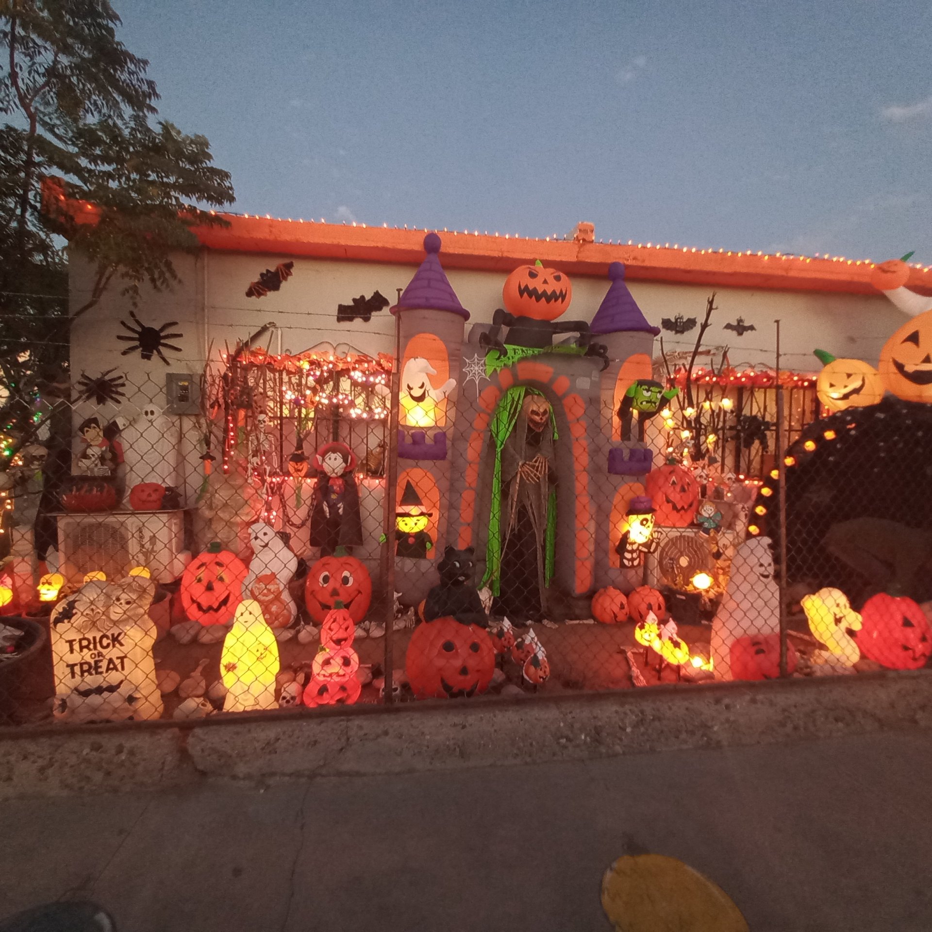 Lanzan app para rutas seguras de Halloween