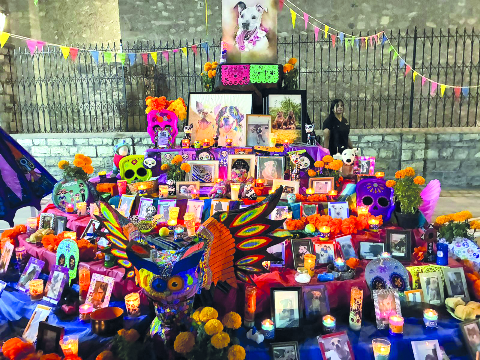 En honor a las mascotas altar en plaza Canónigo Por Iván Villarreal