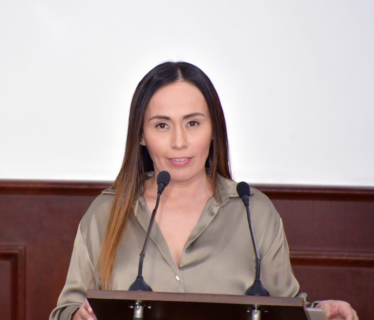 Urge fortalecer medidas de Protección Civil: diputada