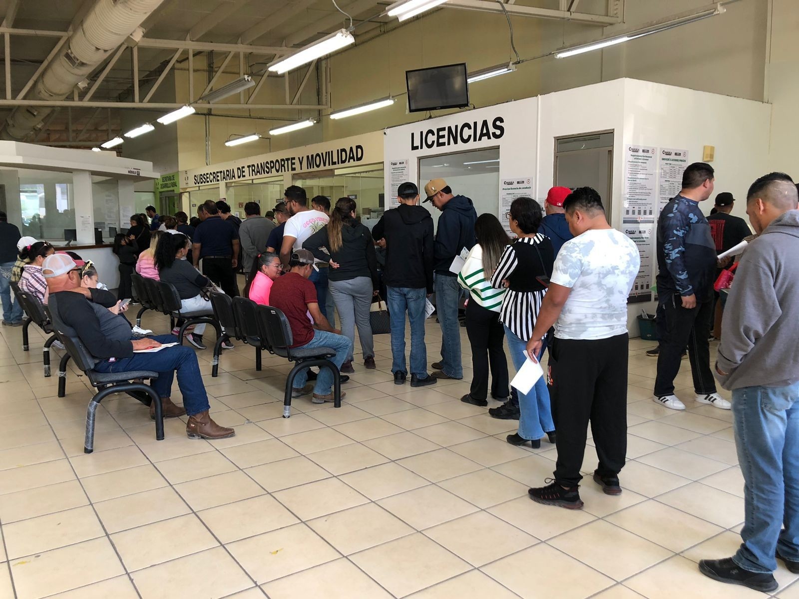 Licencias a mitad de precio y condonación de recargos