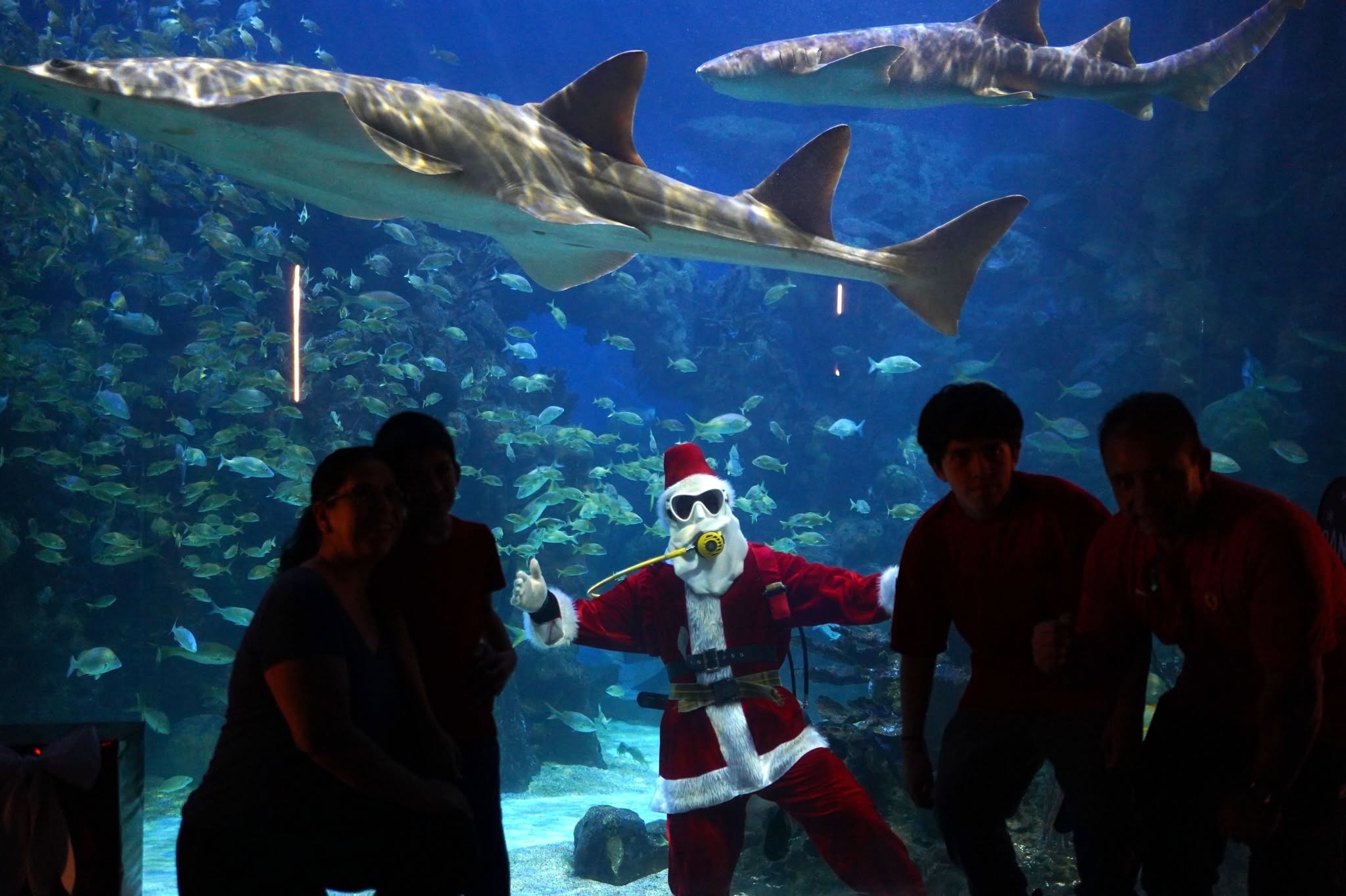 Sorprende Santa Claus bajo el agua