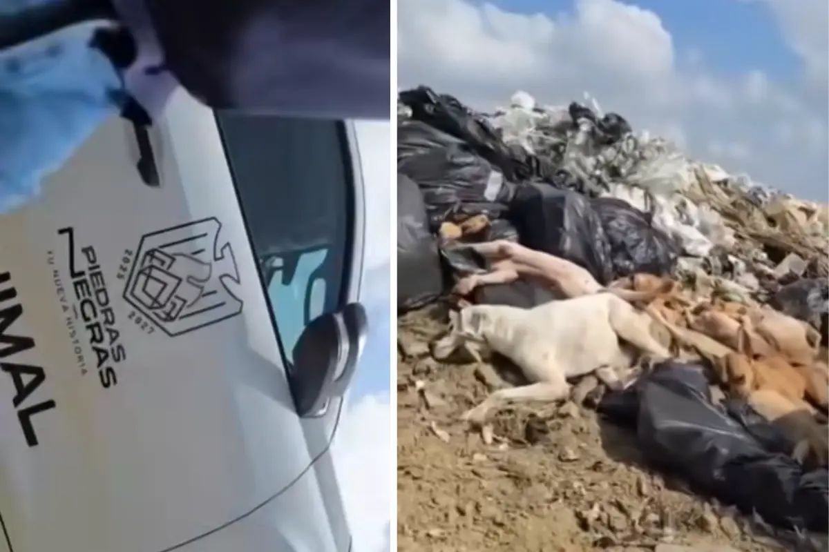 Sin respuesta por sanciones por maltrato animal: Propaec