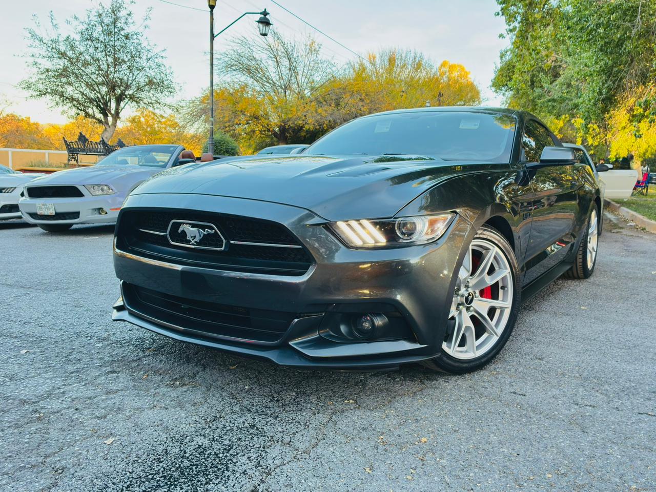 150 CLÁSICOS DE FORD TOMAN CALLES DE PARRAS