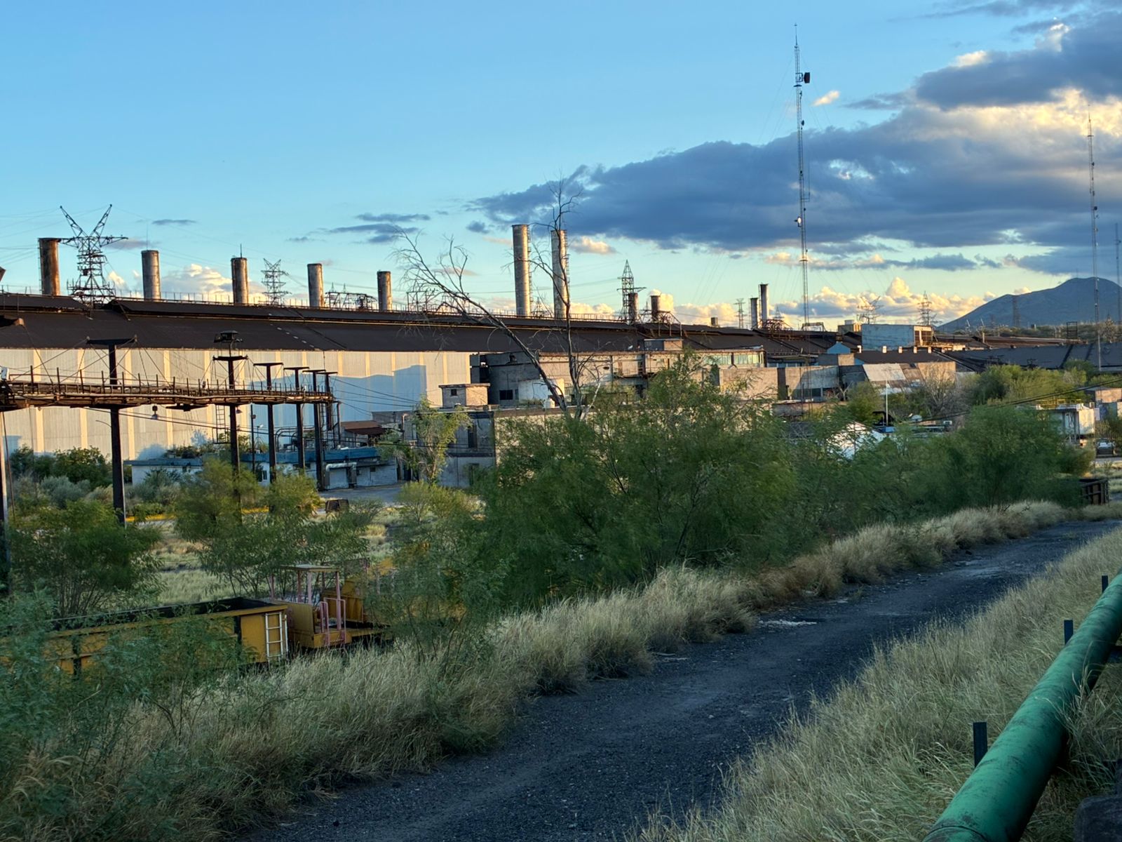 Prevén la subasta de AHMSA en diciembre y nuevo dueño en enero