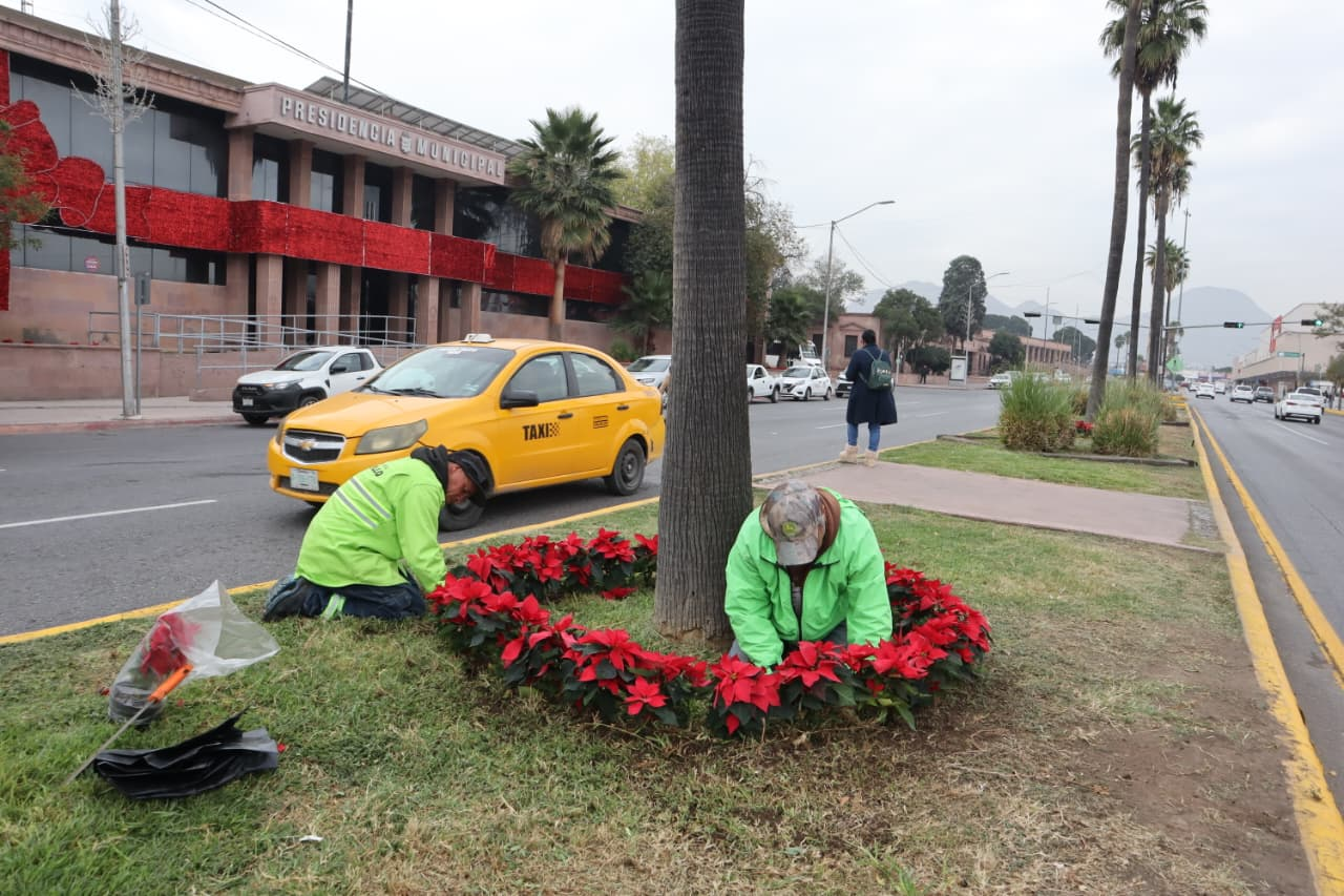 Refuerza Javier Díaz acciones de atención y limpieza en Lomas de Lourdes